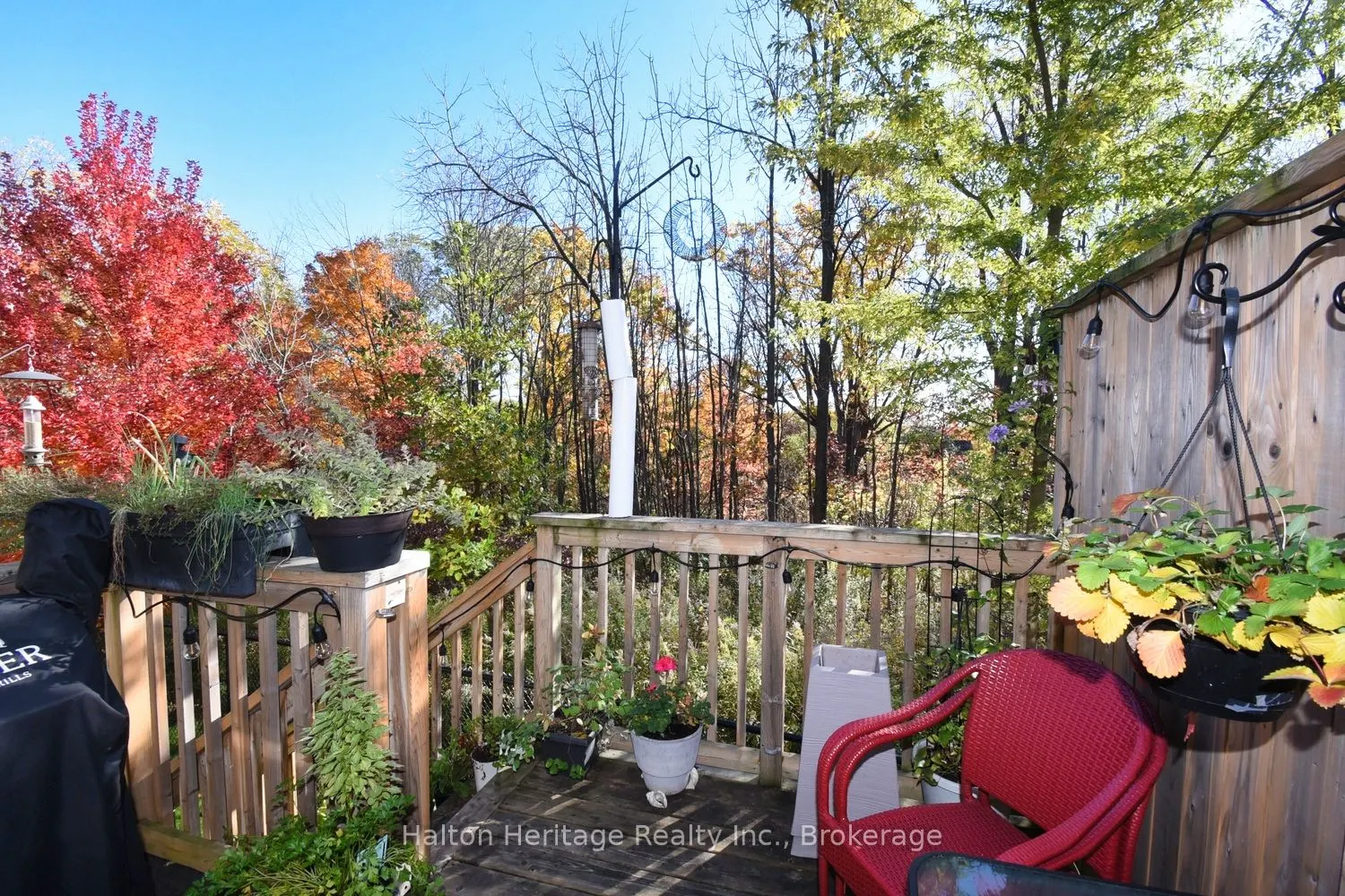 40 Hamilton Street S, #31