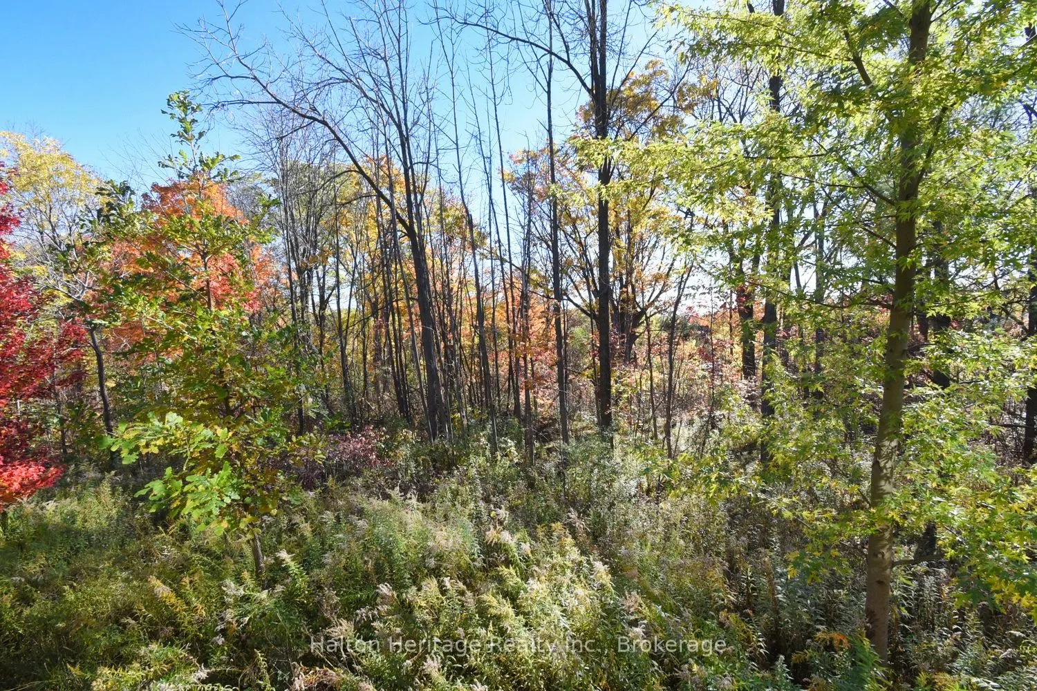 40 Hamilton Street S, #31