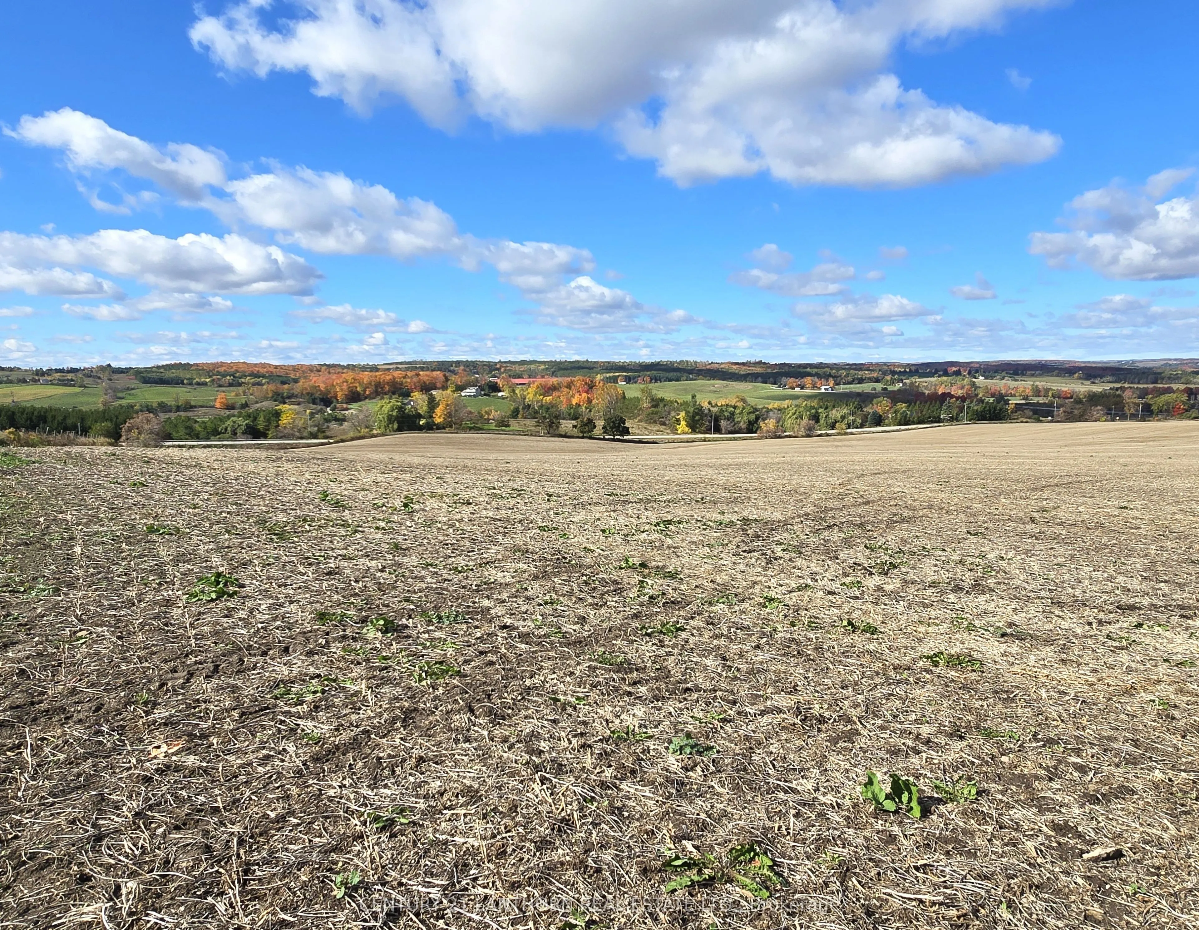 488297 30th Side Road