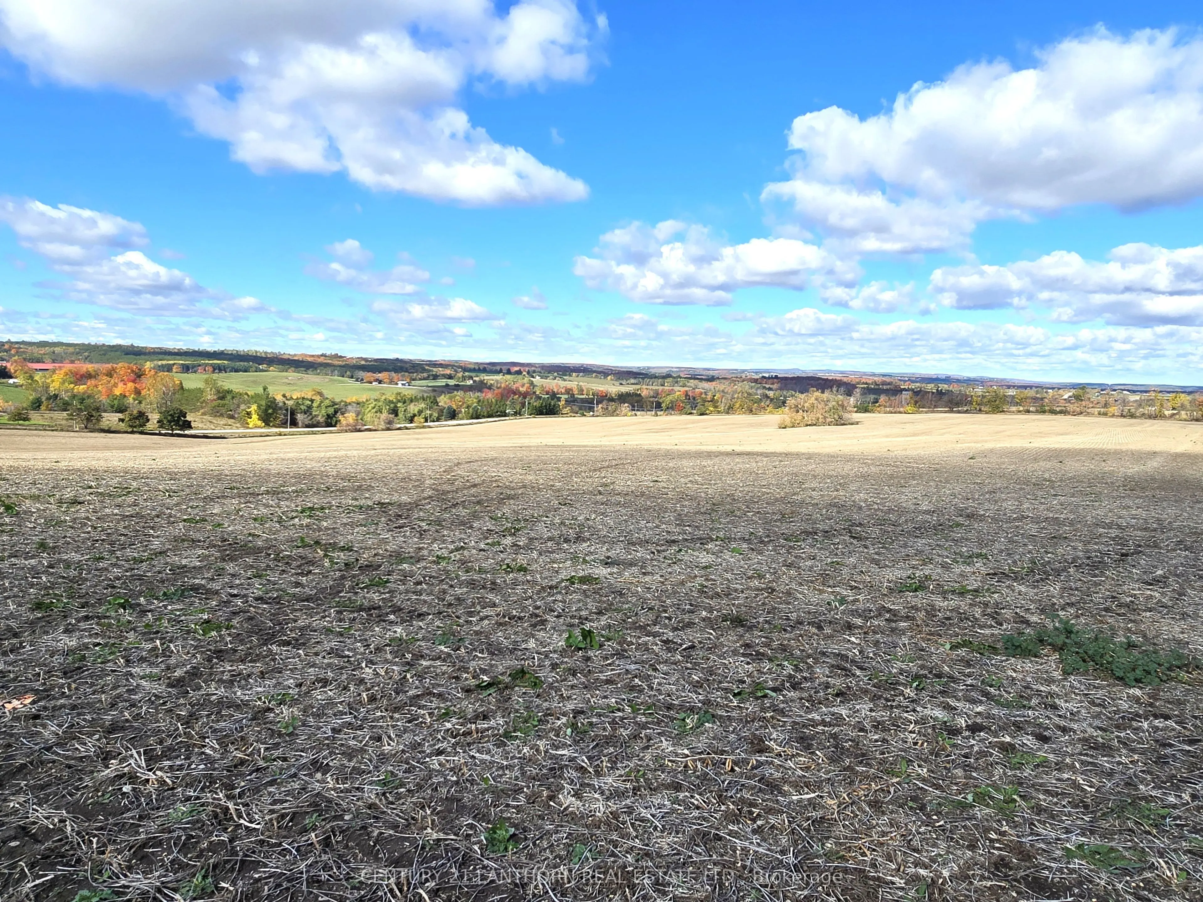 488297 30th Side Road