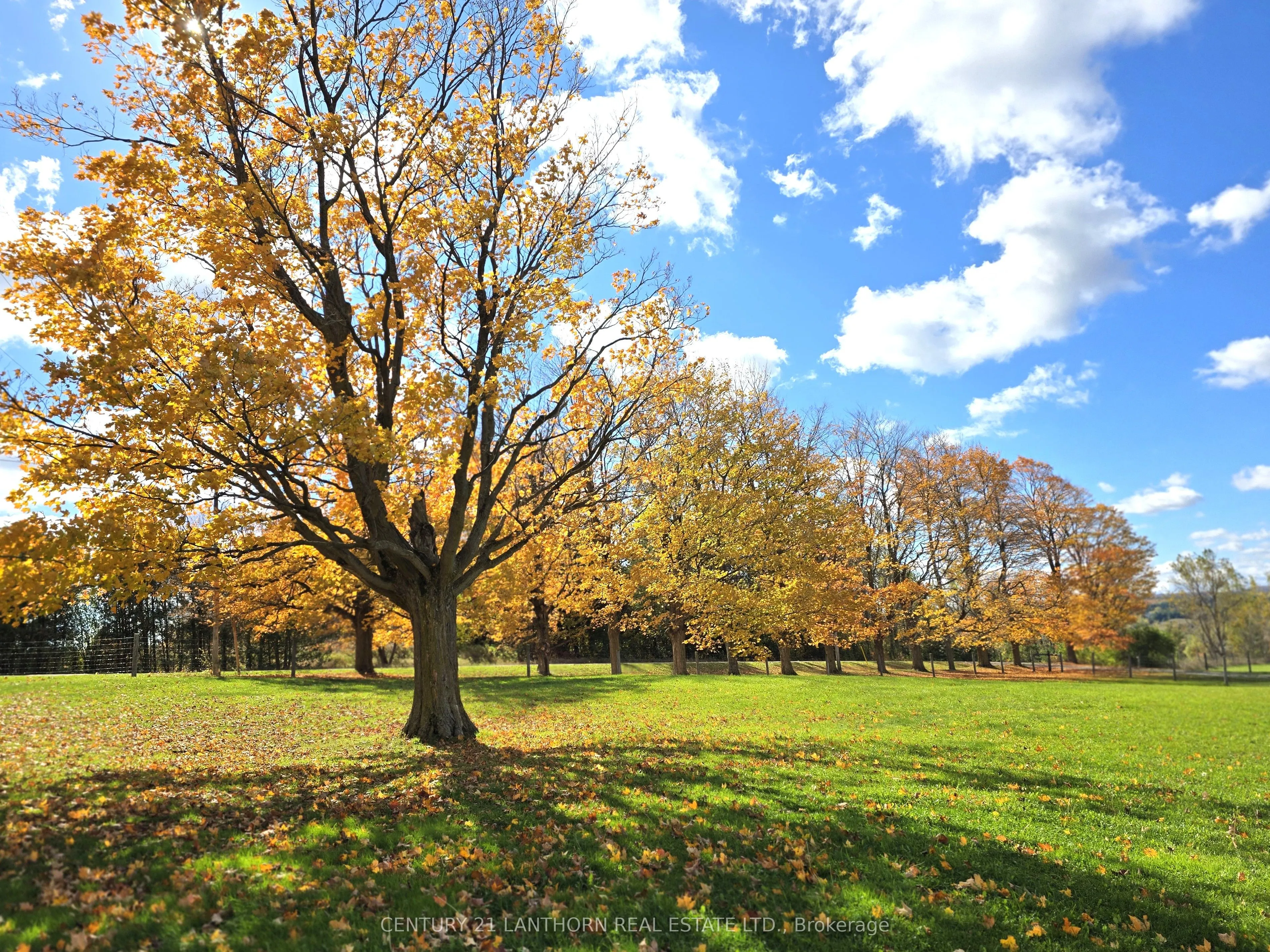 488297 30th Side Road