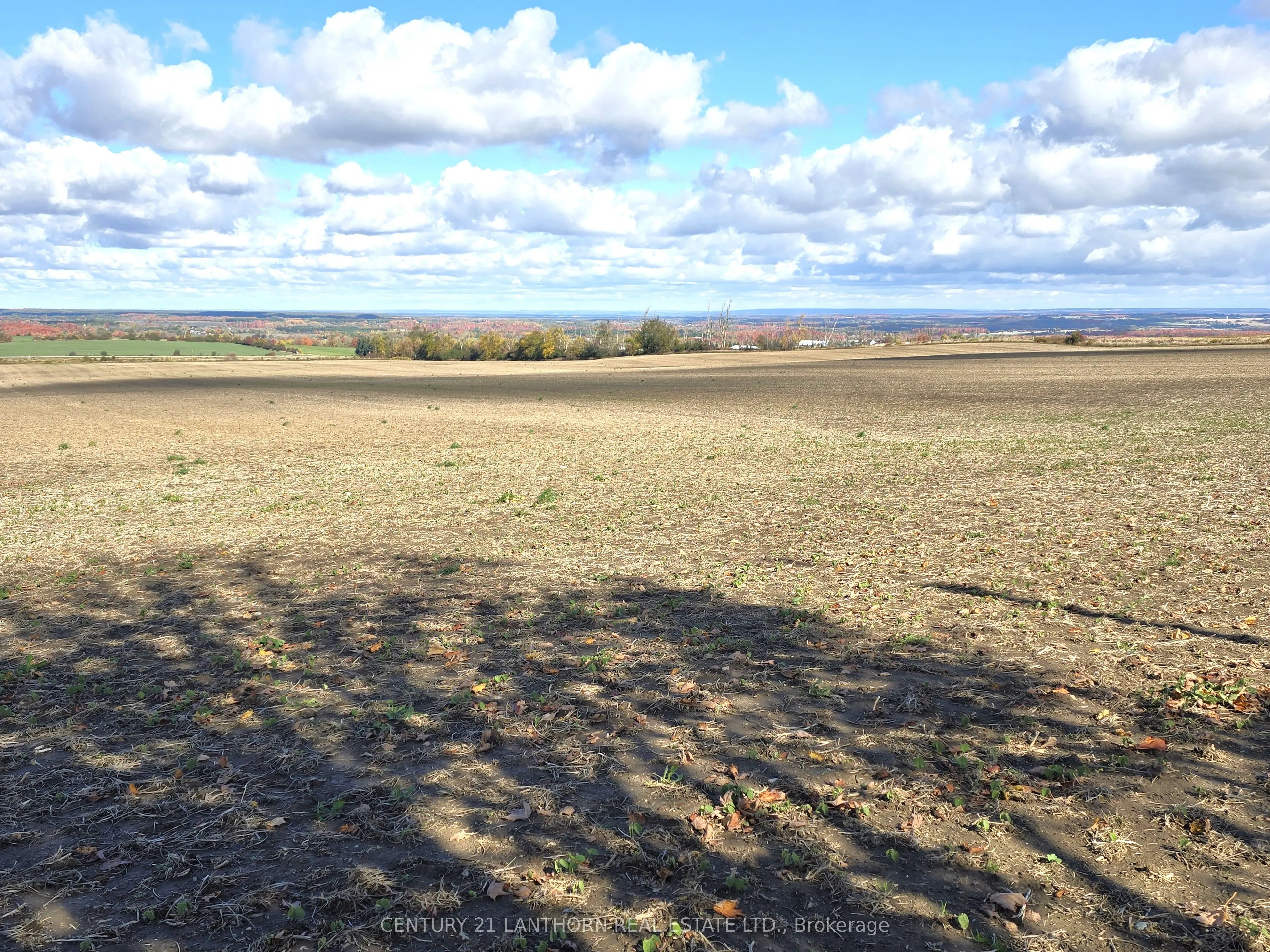 488297 30th Side Road