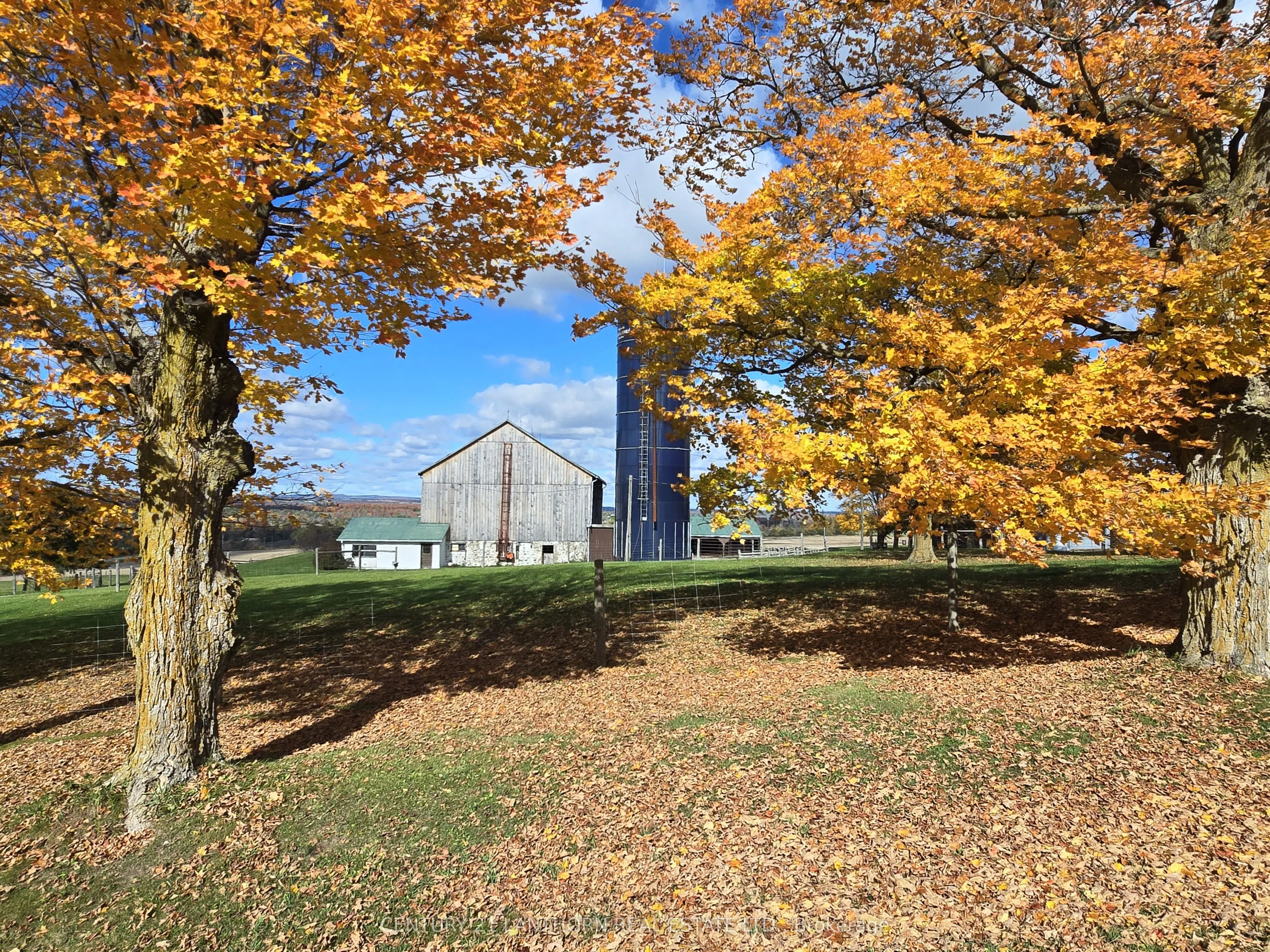 488297 30th Side Road