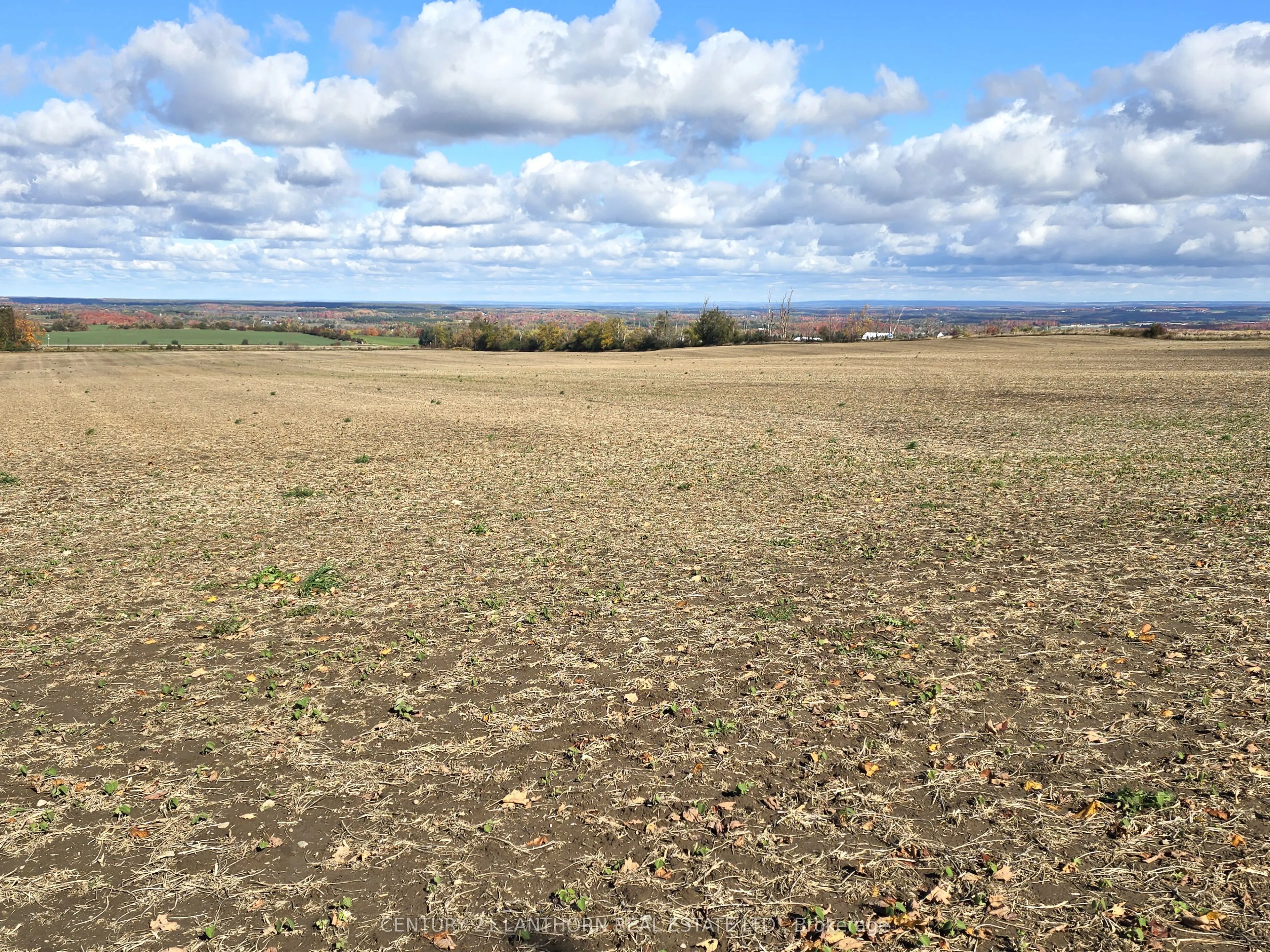 488297 30th Side Road