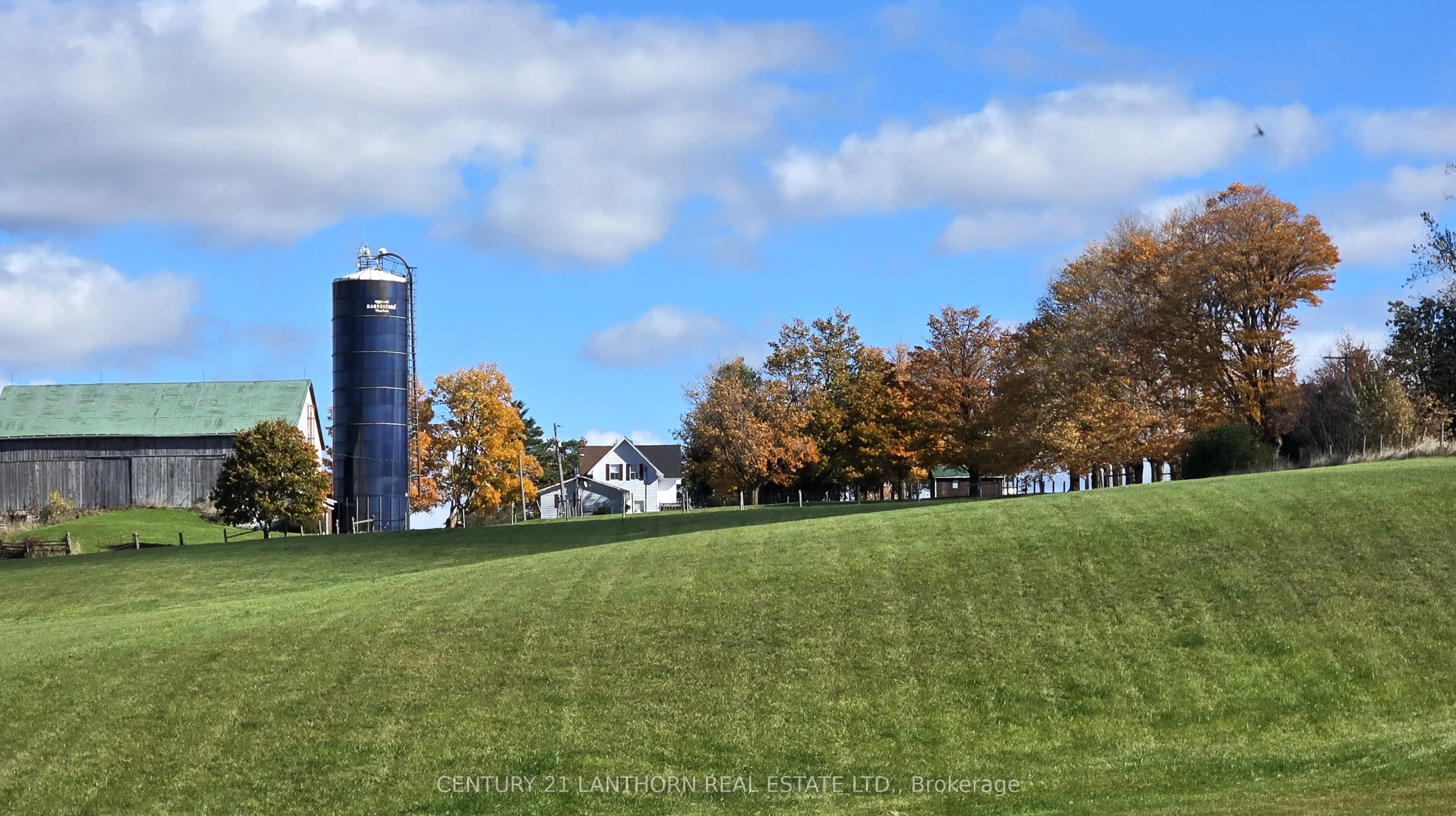 488297 30th Side Road