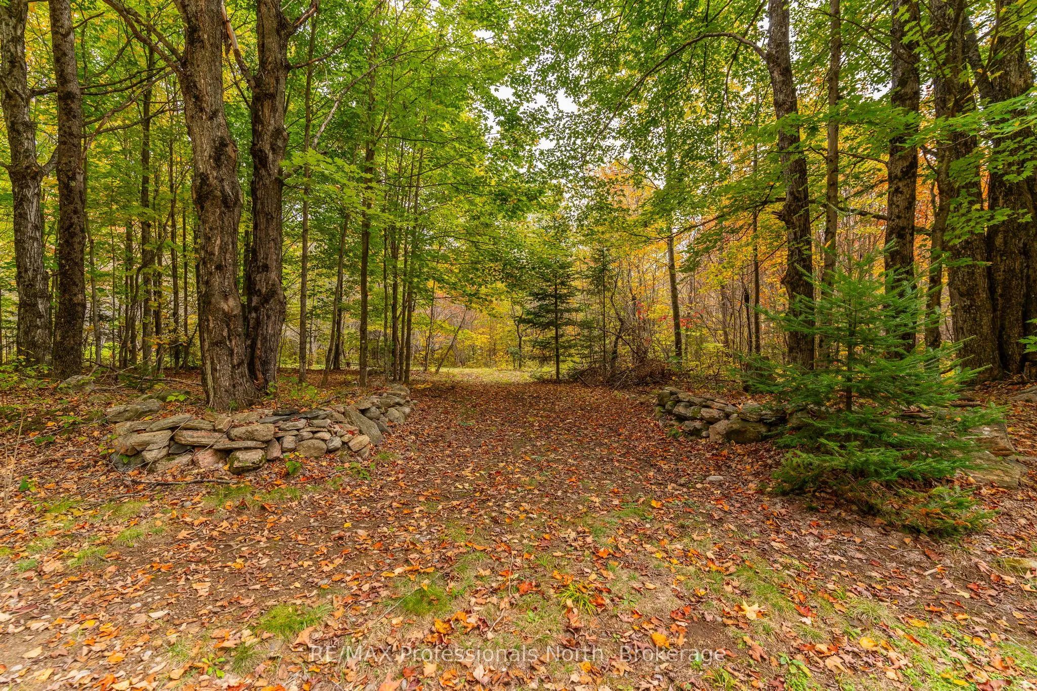 1600 BOBCAYGEON Road