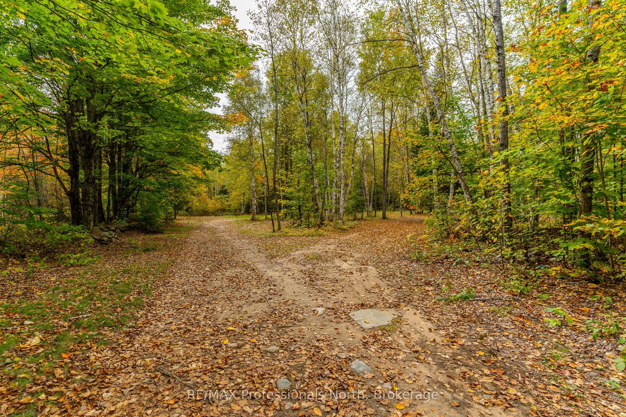 1600 BOBCAYGEON Road