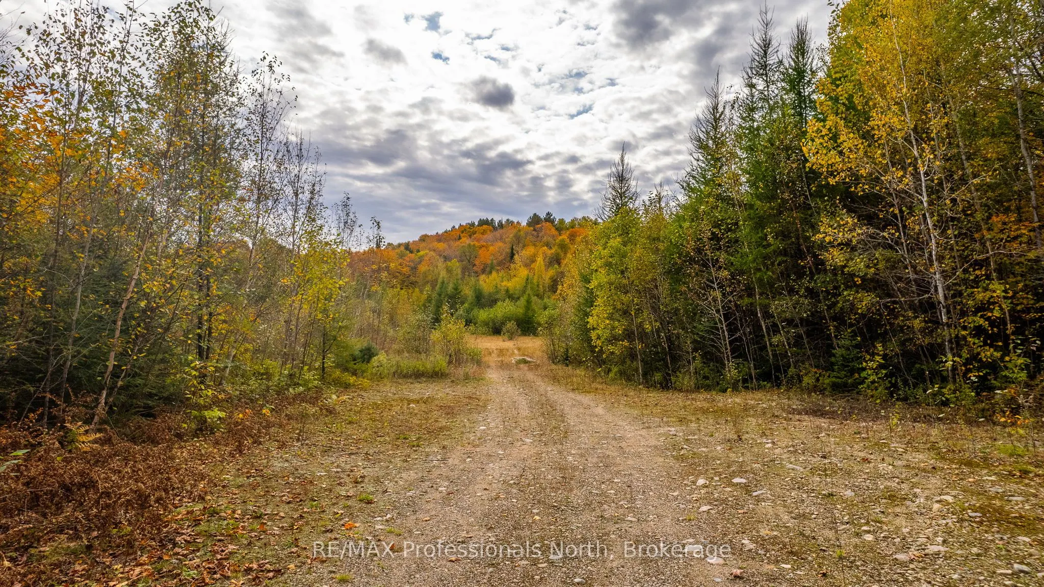 1600 BOBCAYGEON Road