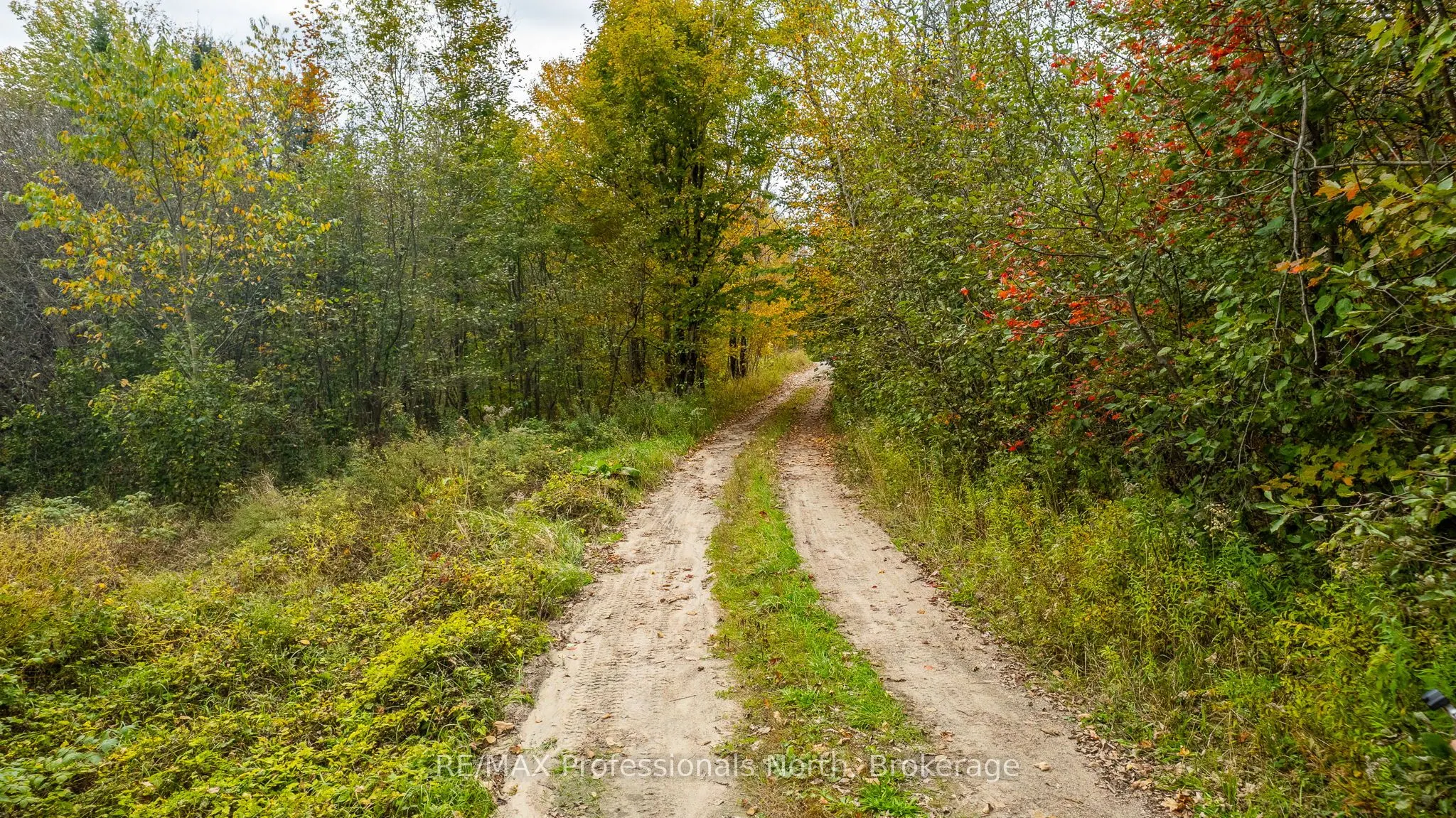 1600 BOBCAYGEON Road