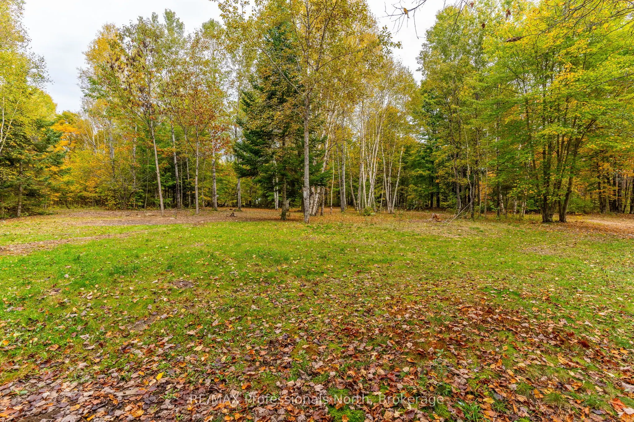 1600 BOBCAYGEON Road