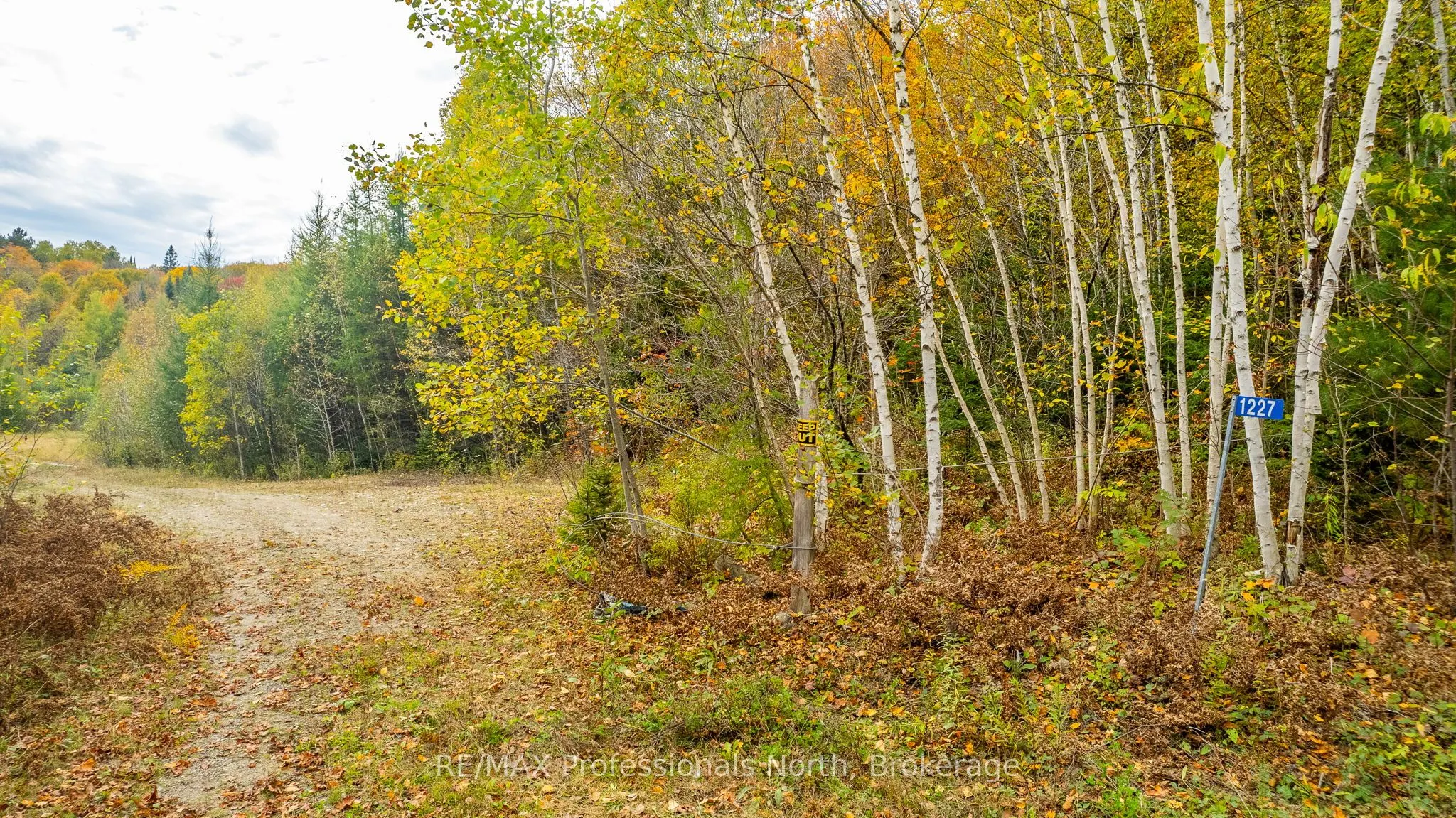 1600 BOBCAYGEON Road