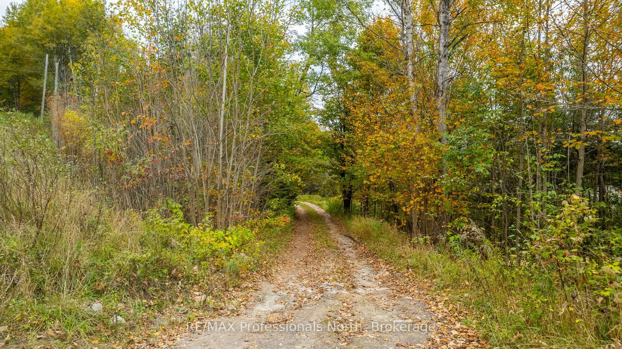 1600 BOBCAYGEON Road