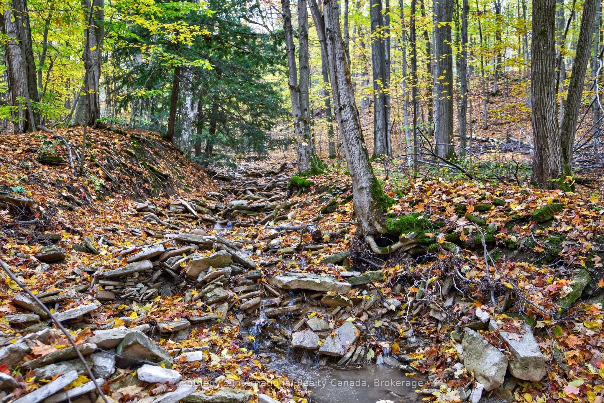 112 Arrowhead Crescent