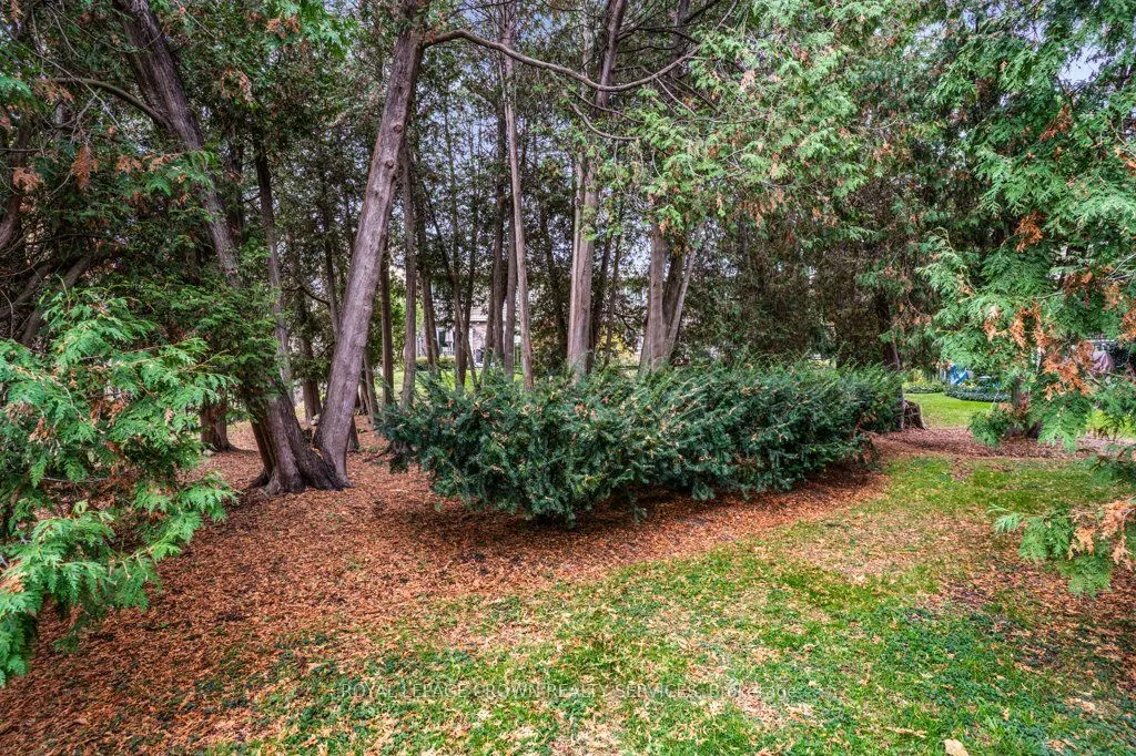 295 Water Street, #171