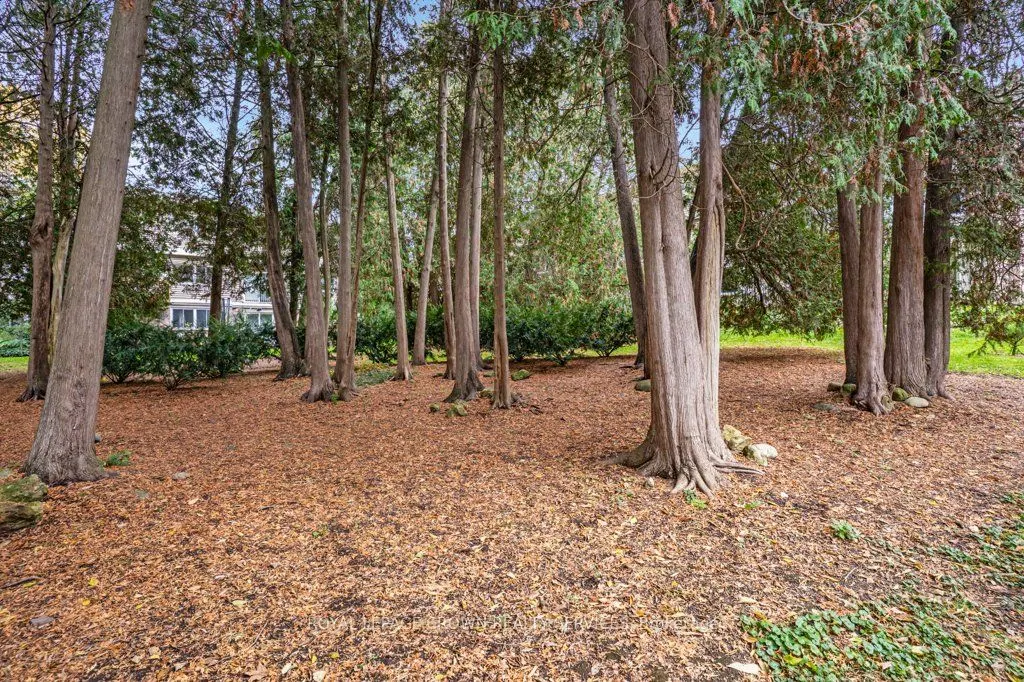 295 Water Street, #171