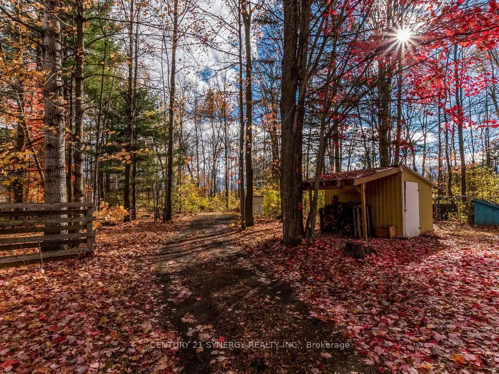 1423 Diamondview Road