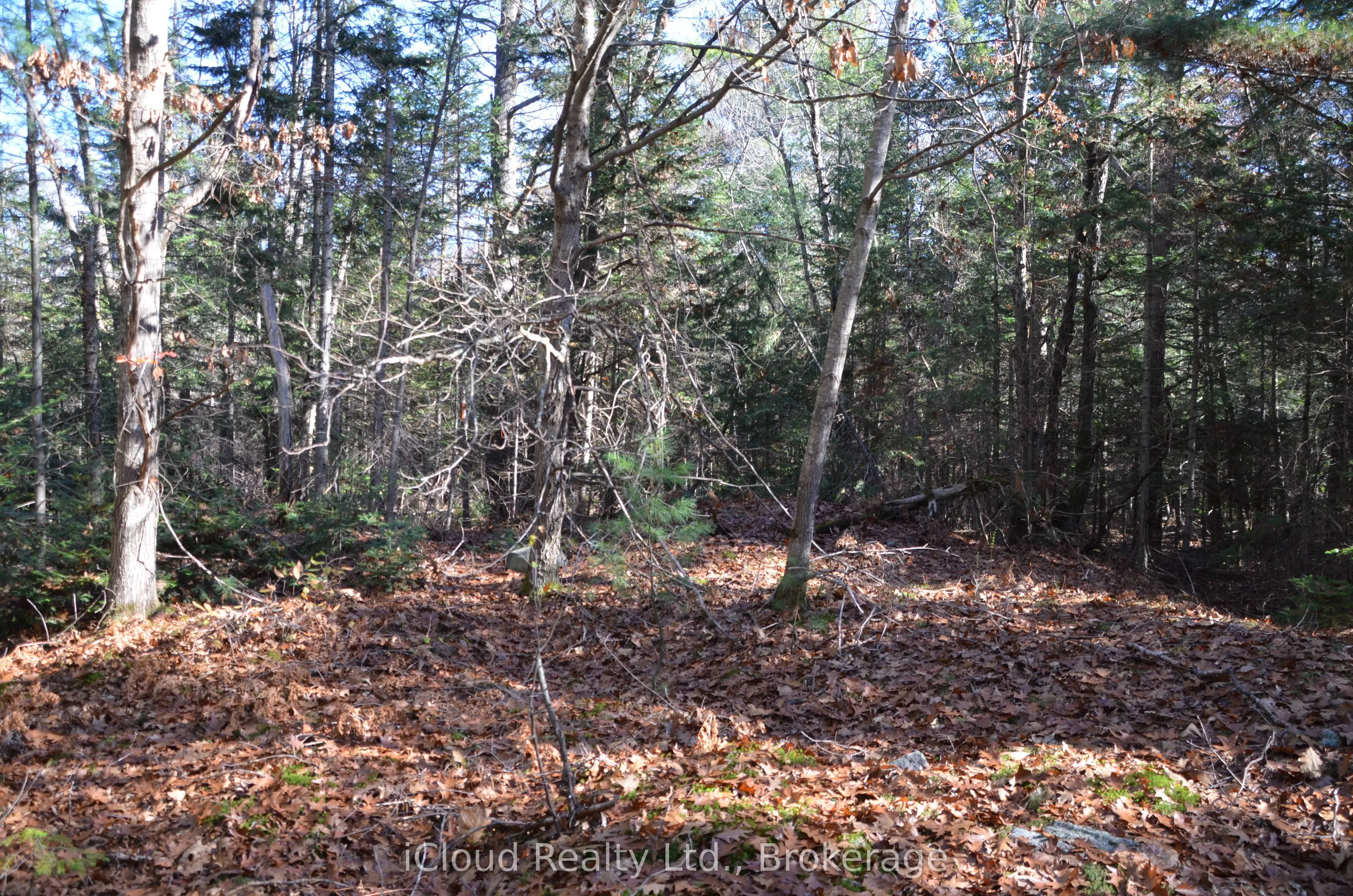 3 and 2 Parker Bay Road