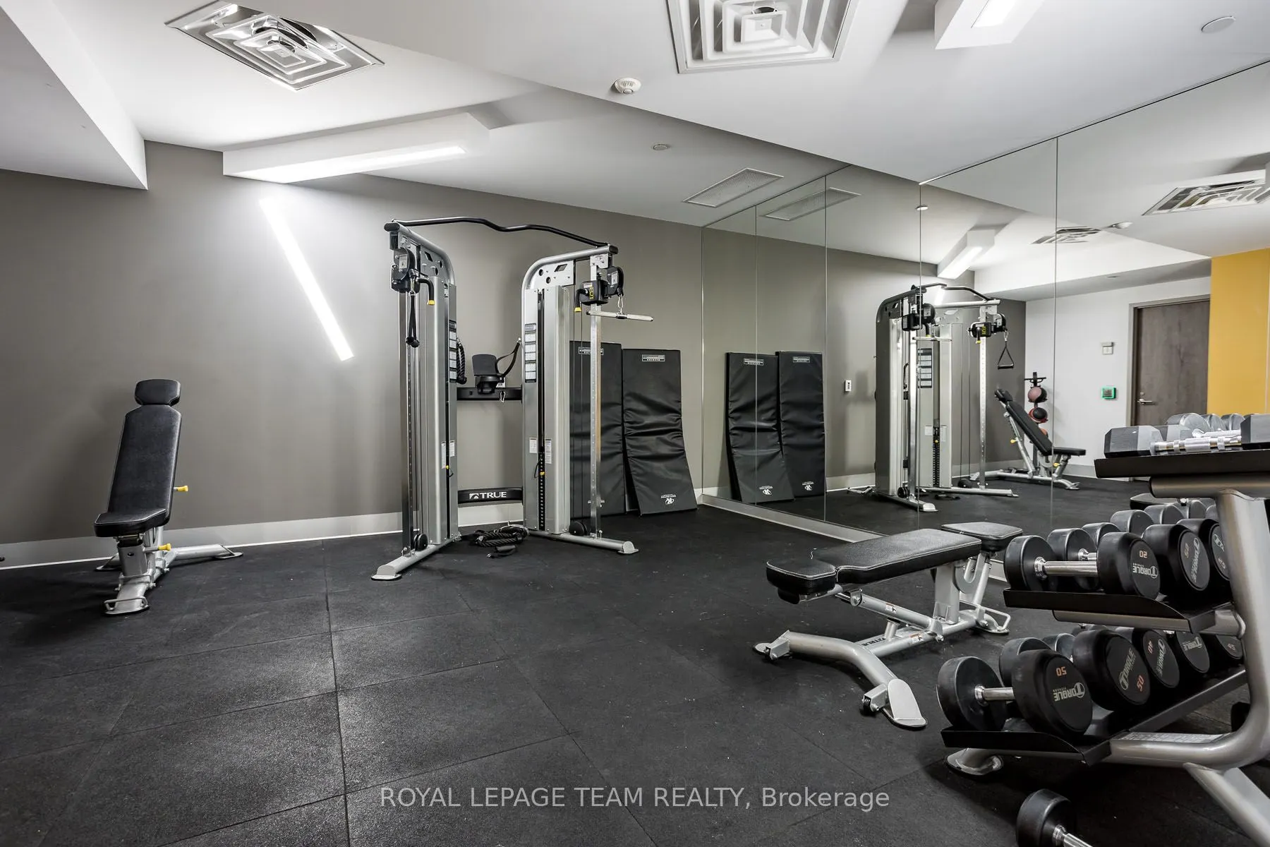 485 Richmond Road, #709