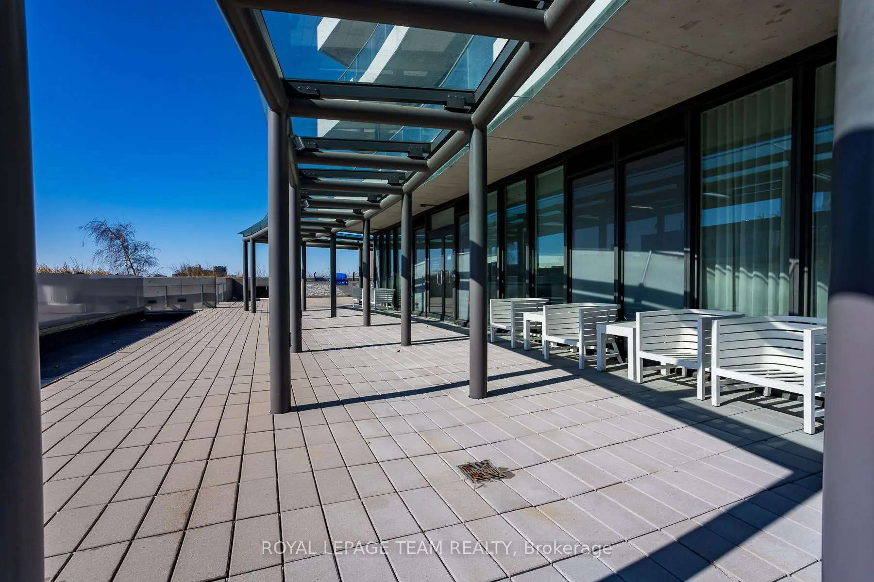 485 Richmond Road, #709