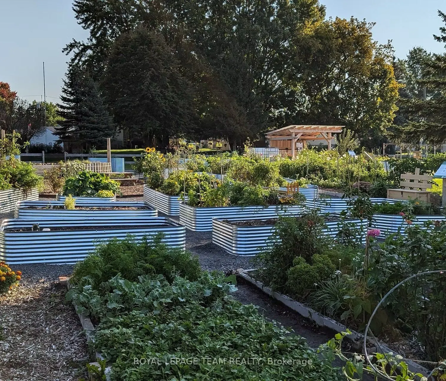 1965 Patricia Street