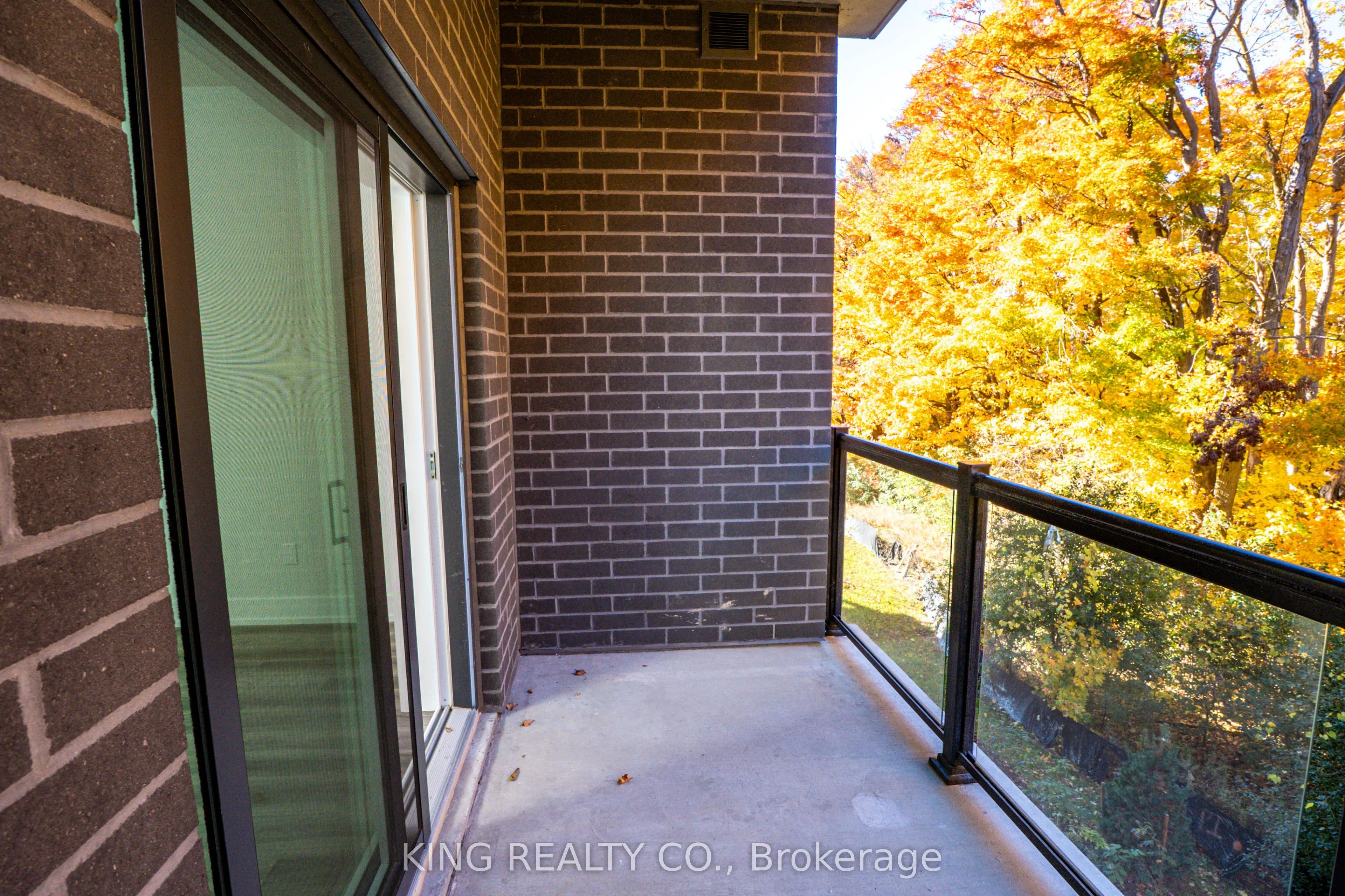 1100 Lackner Pl Place, #204