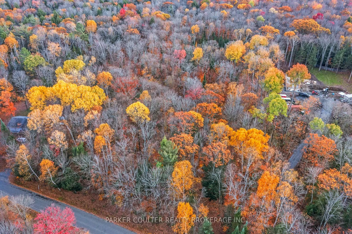 561 White House Road