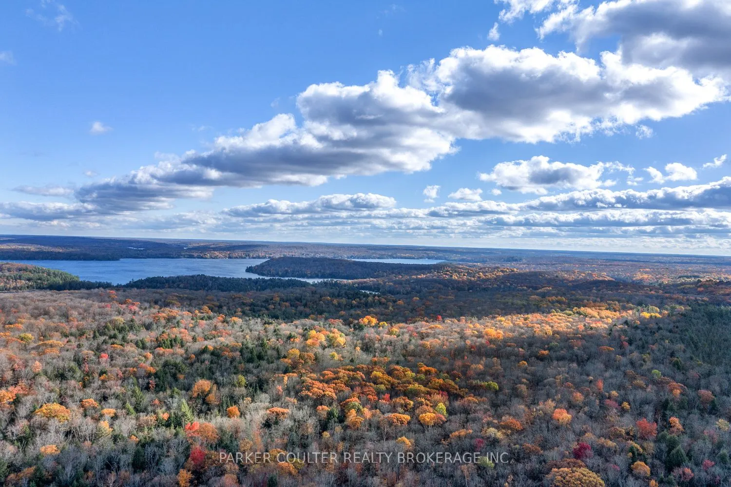 561 White House Road