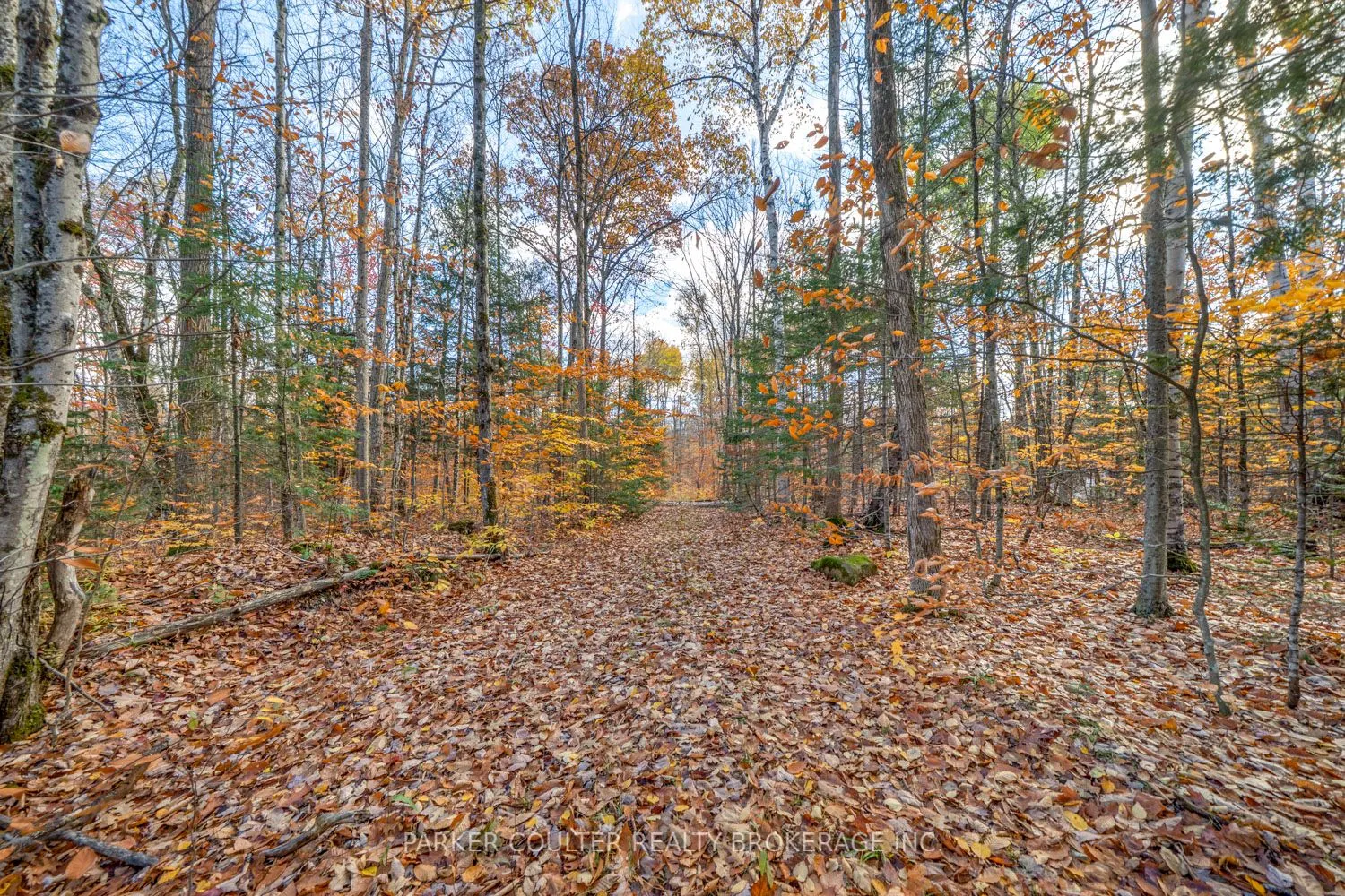 561 White House Road