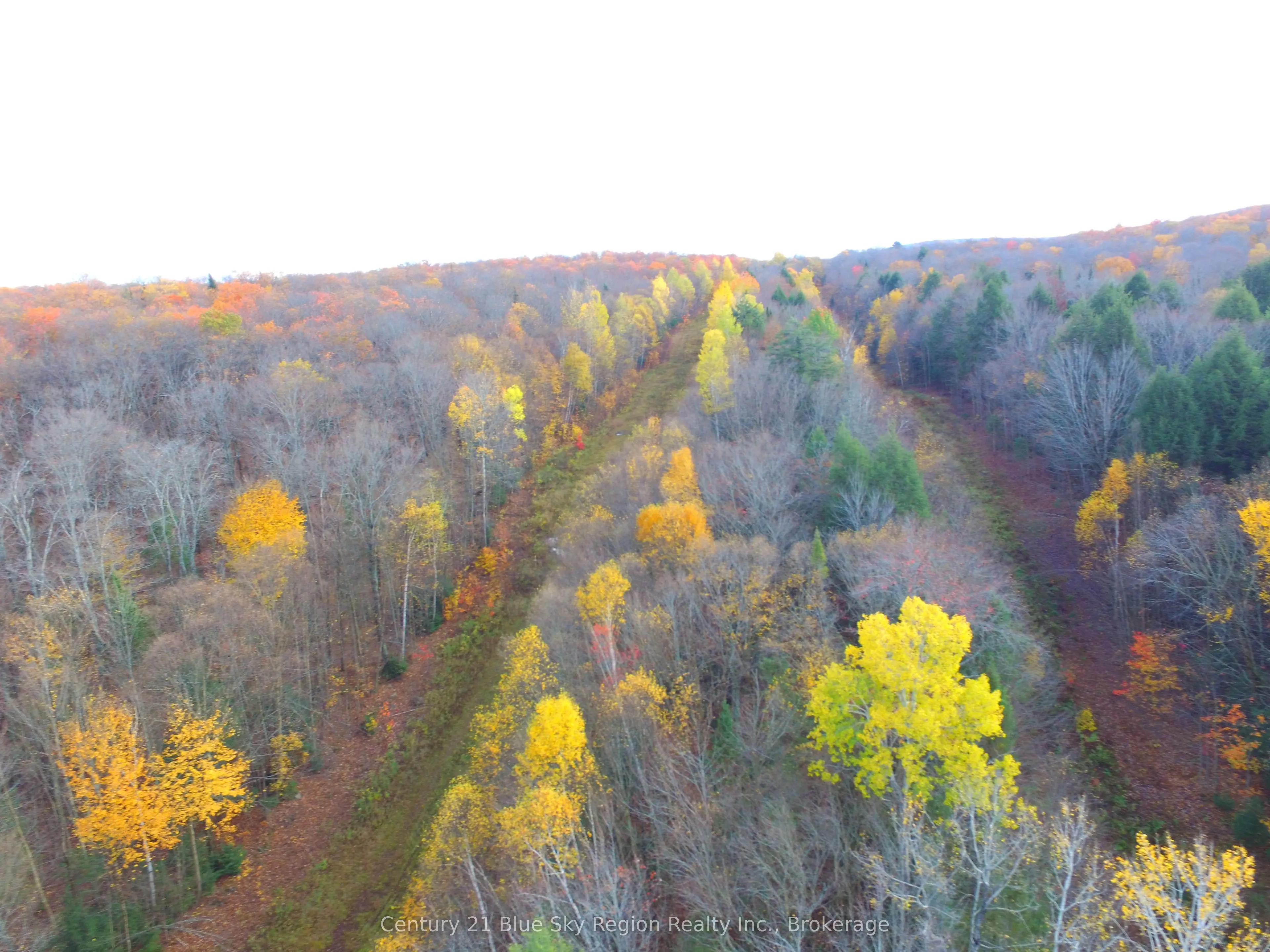 Pt Lt 2 Con 4 McFadden Line