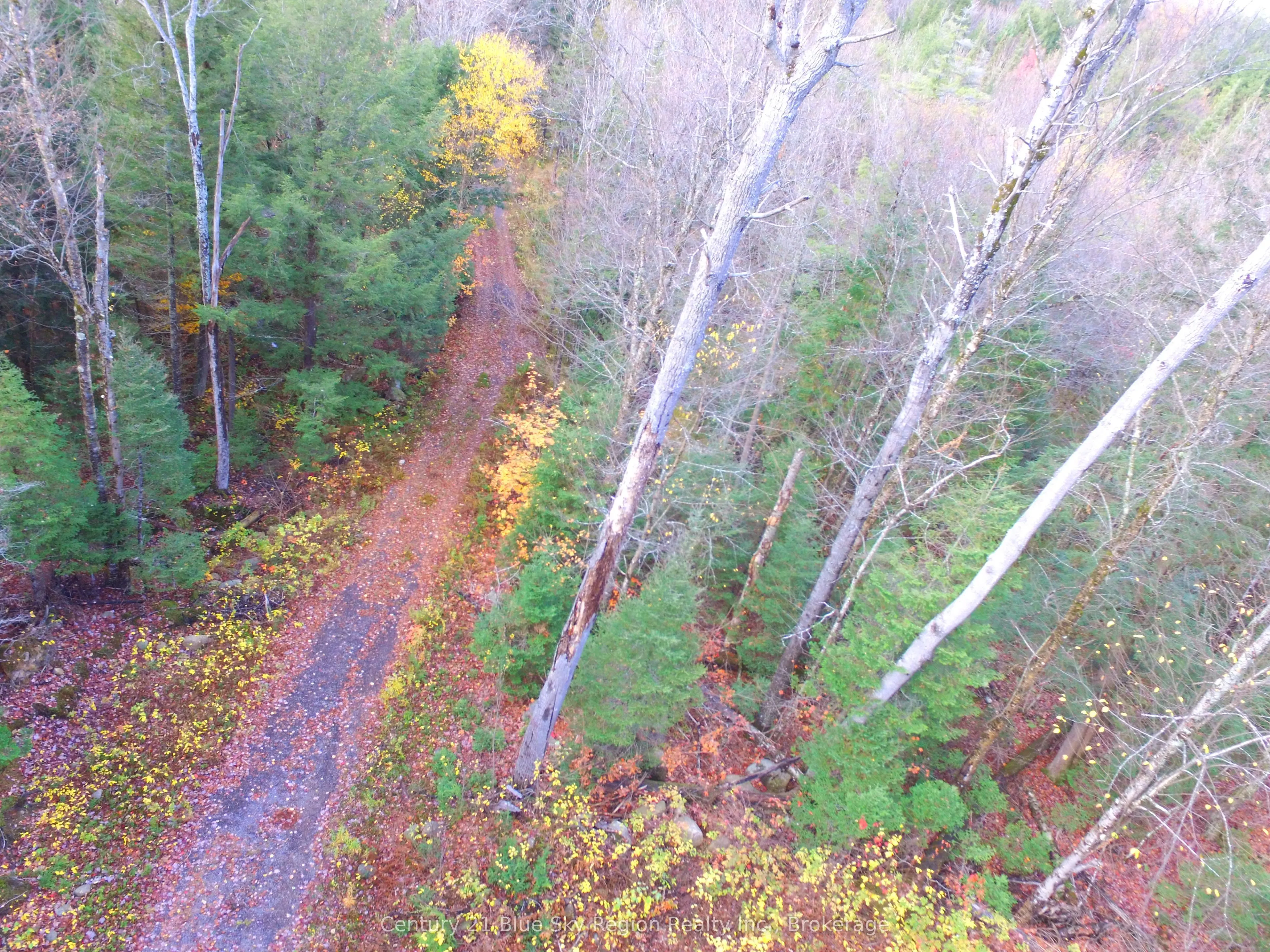 Pt Lt 2 Con 4 McFadden Line