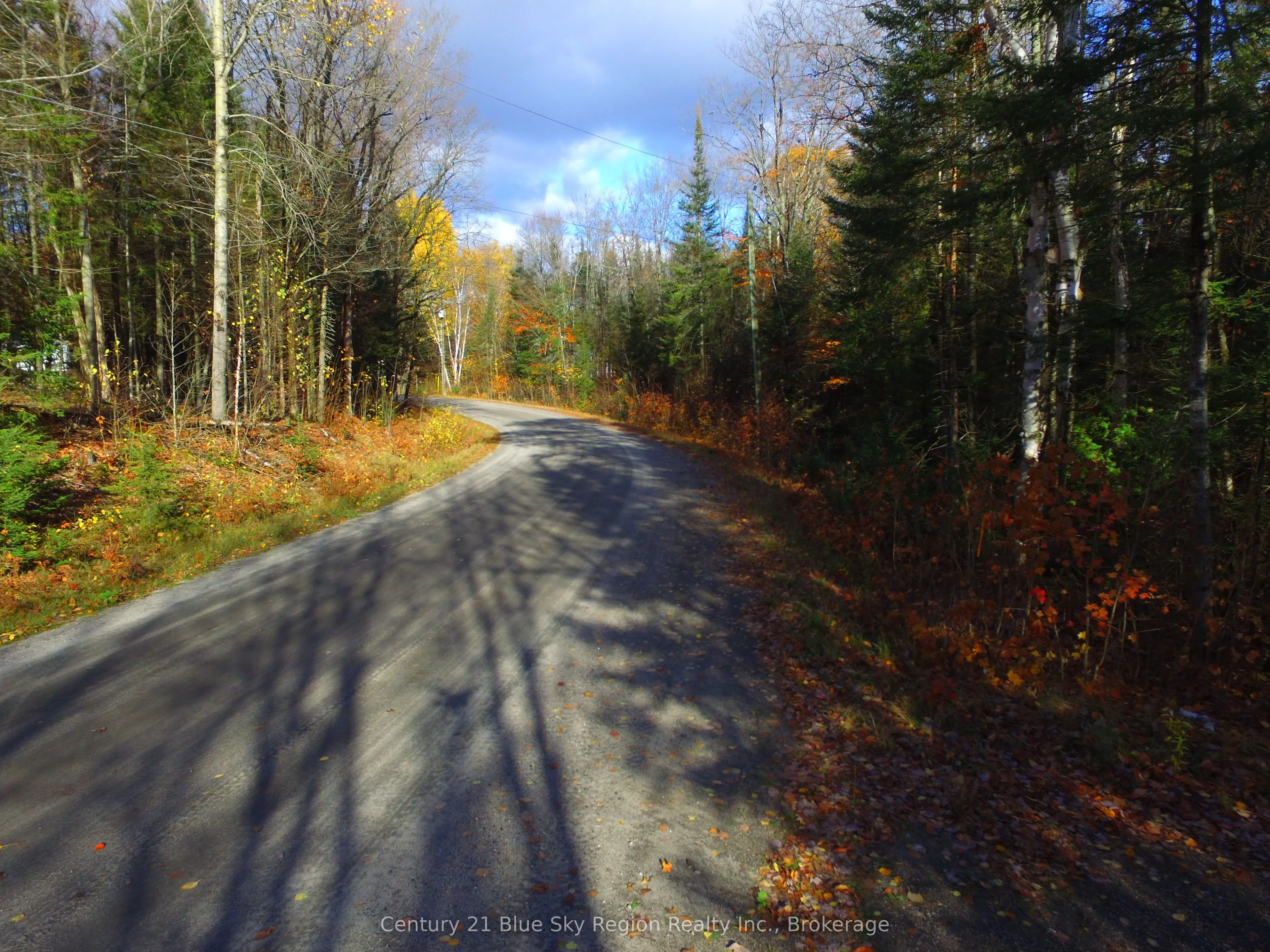 Pt Lt 2 Con 4 McFadden Line