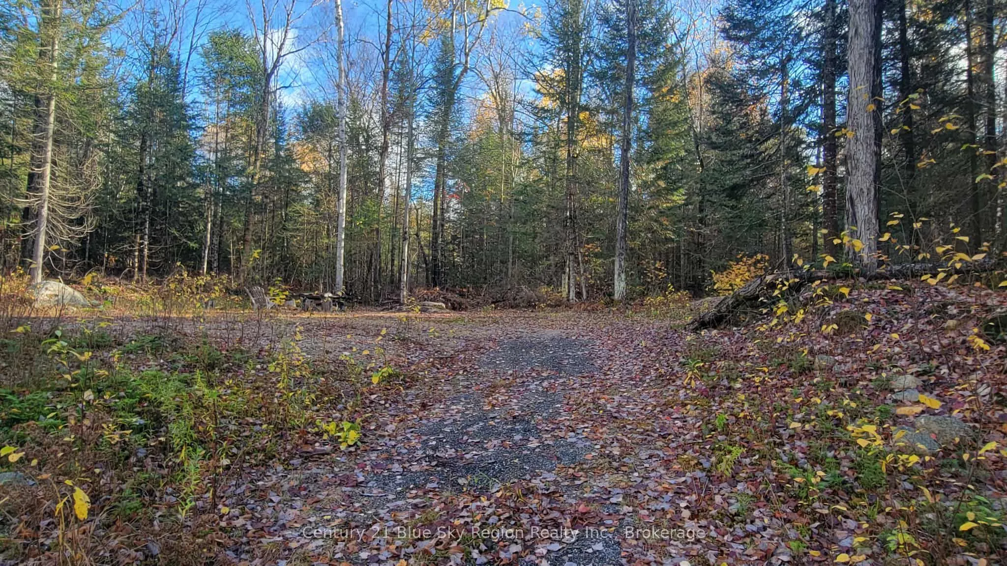 Pt Lt 2 Con 4 McFadden Line