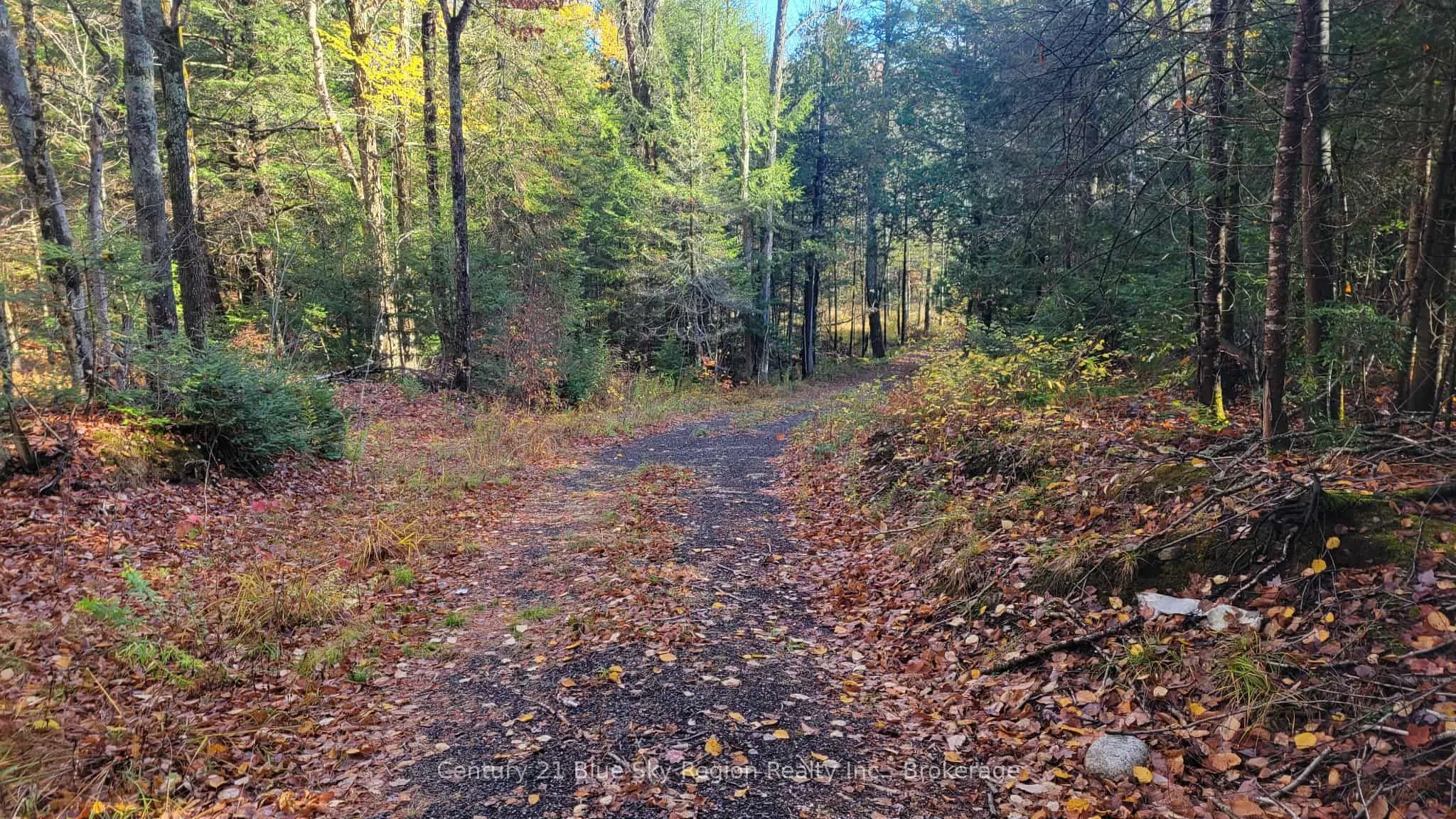 Pt Lt 2 Con 4 McFadden Line