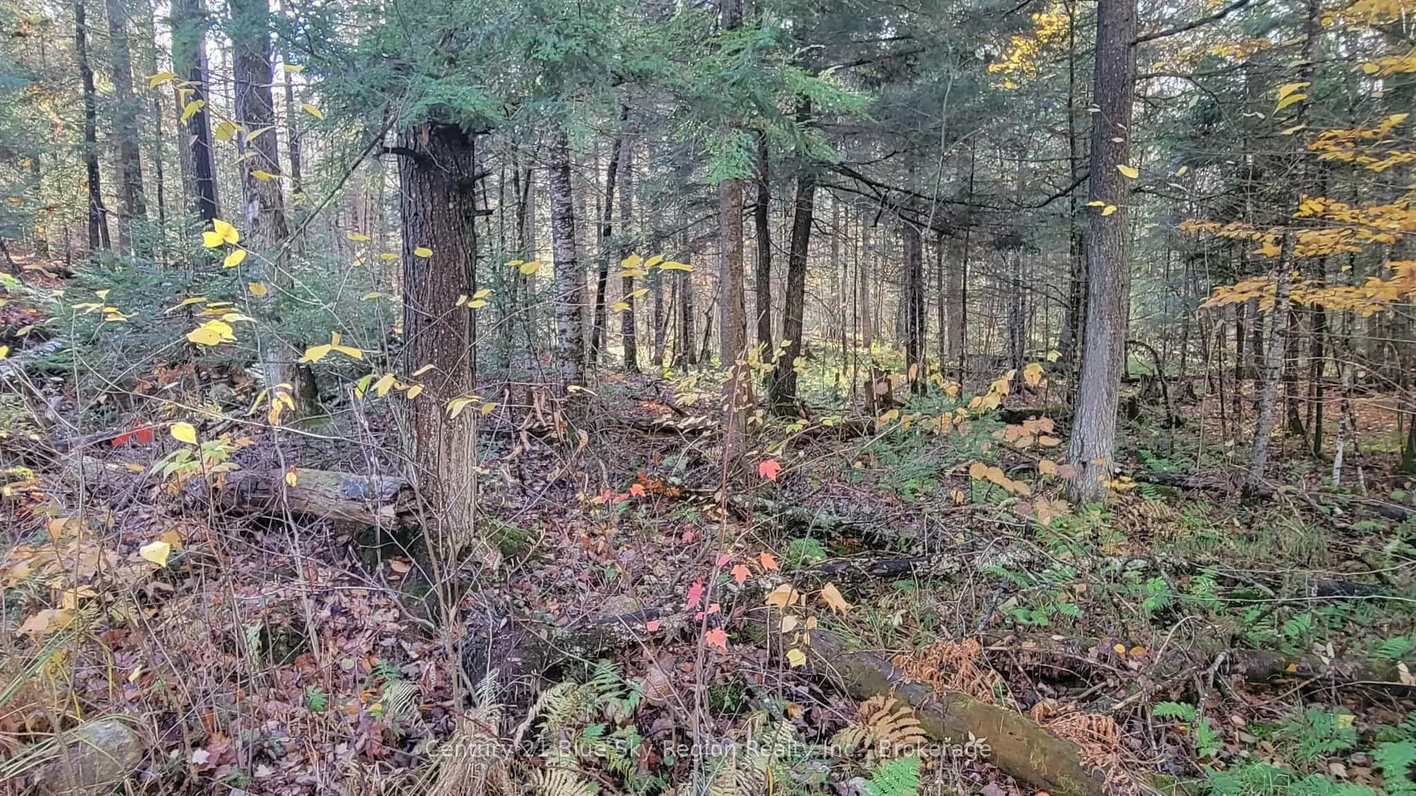 Pt Lt 2 Con 4 McFadden Line