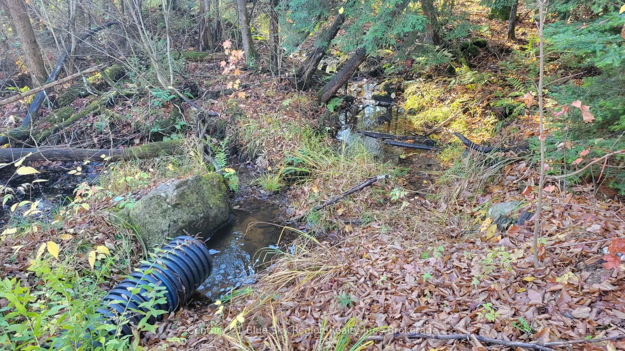 Pt Lt 2 Con 4 McFadden Line