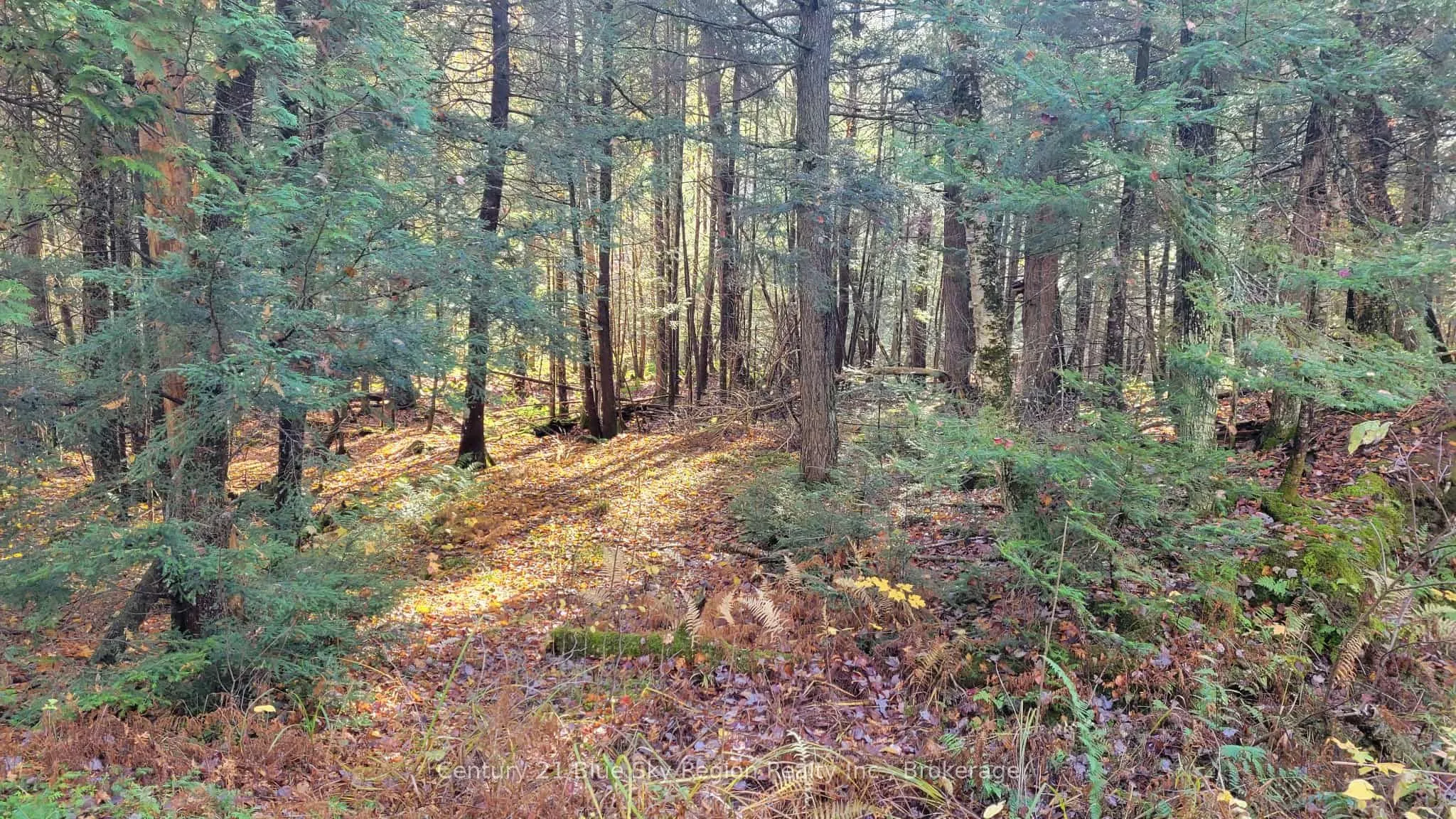 Pt Lt 2 Con 4 McFadden Line