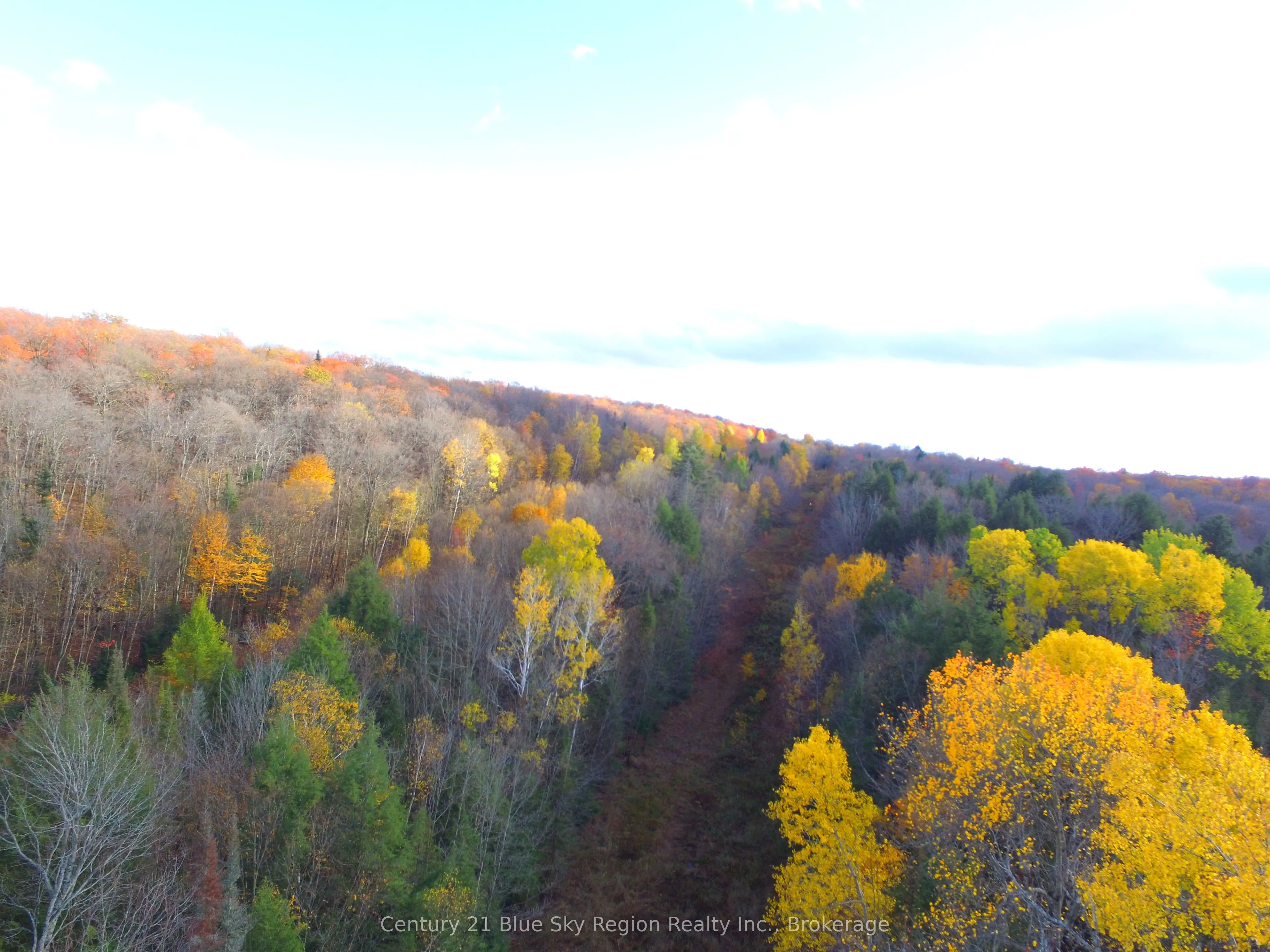 Pt Lt 2 Con 4 McFadden Line