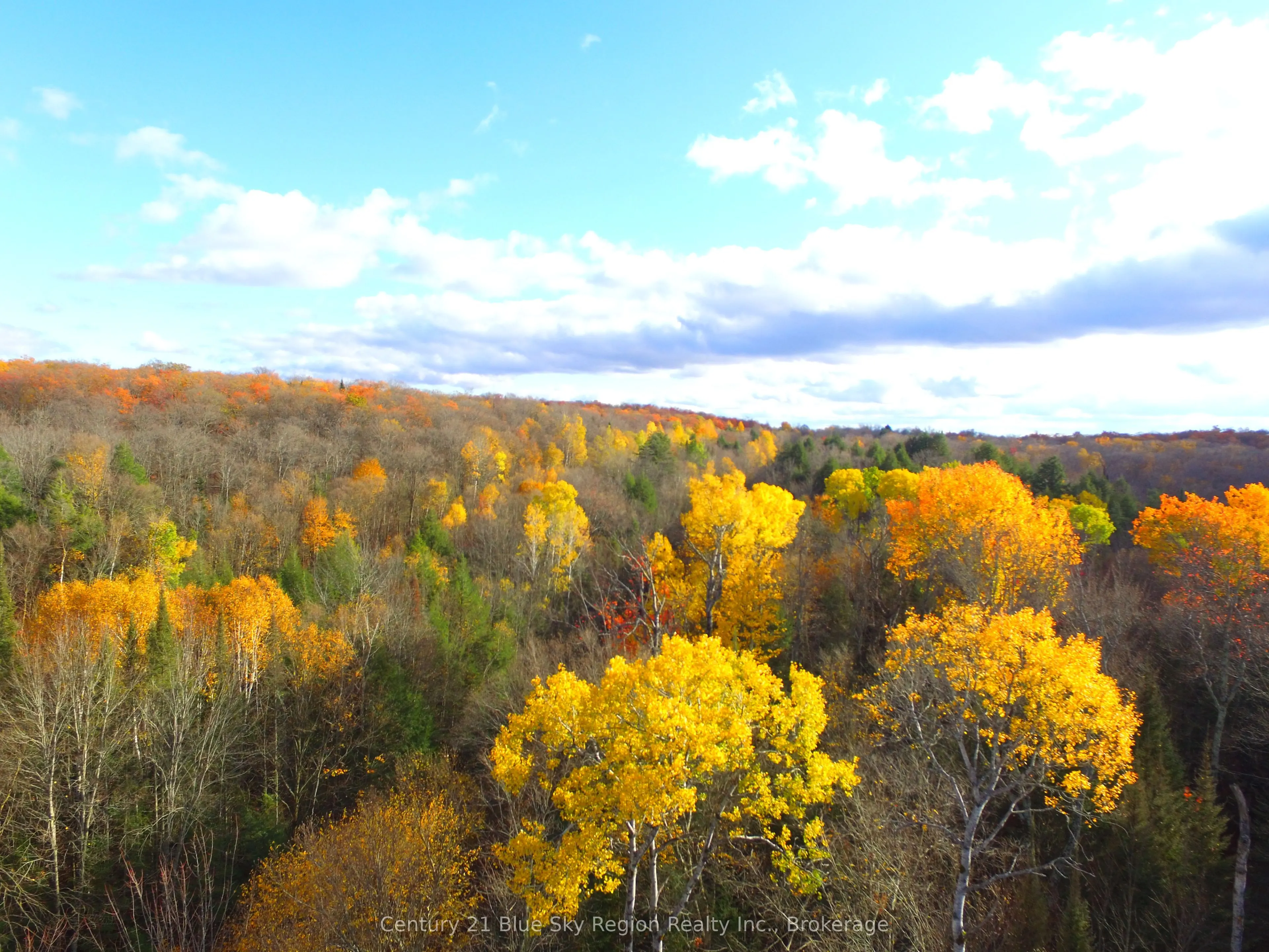 Pt Lt 2 Con 4 McFadden Line