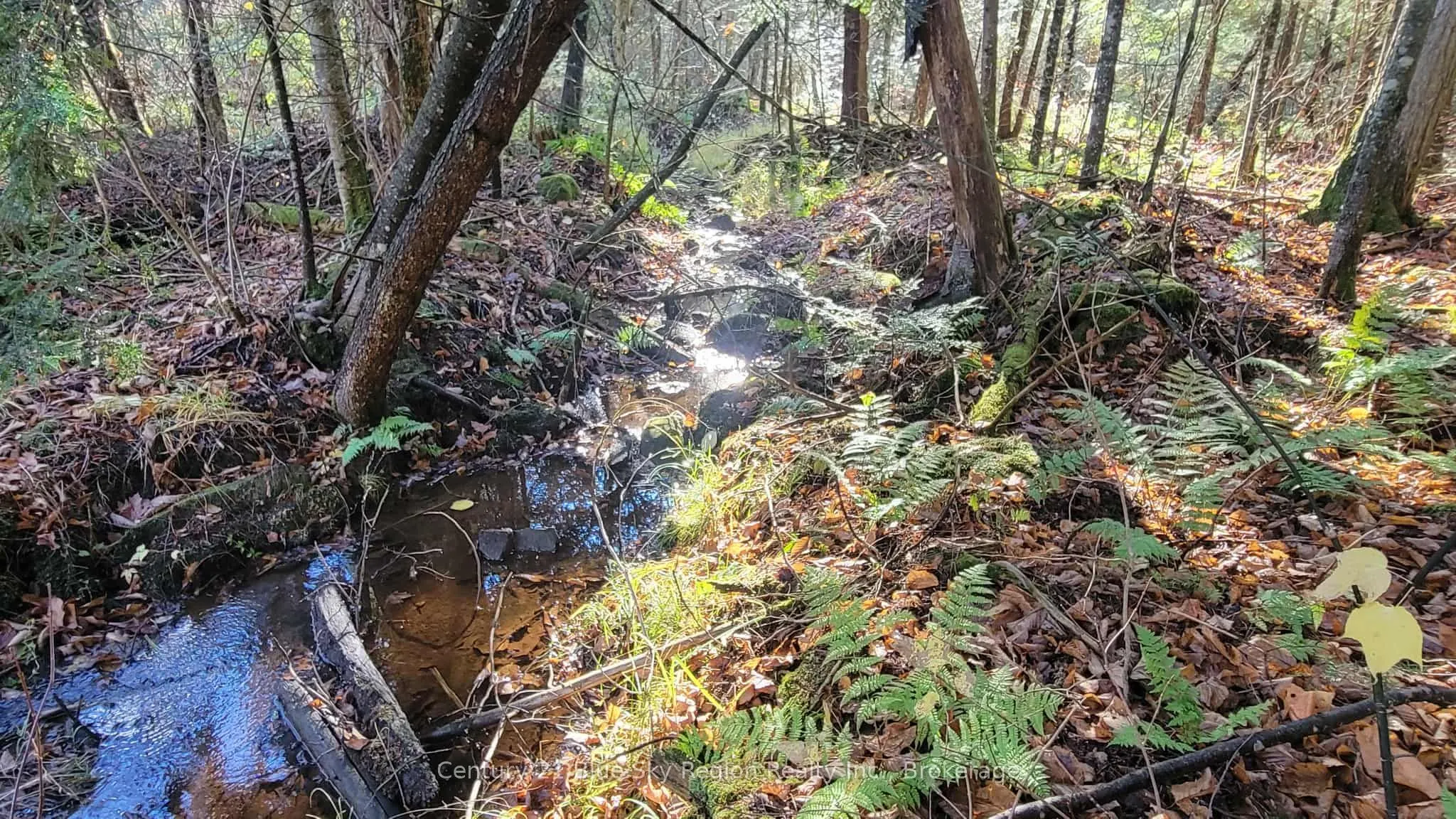 Pt Lt 2 Con 4 McFadden Line