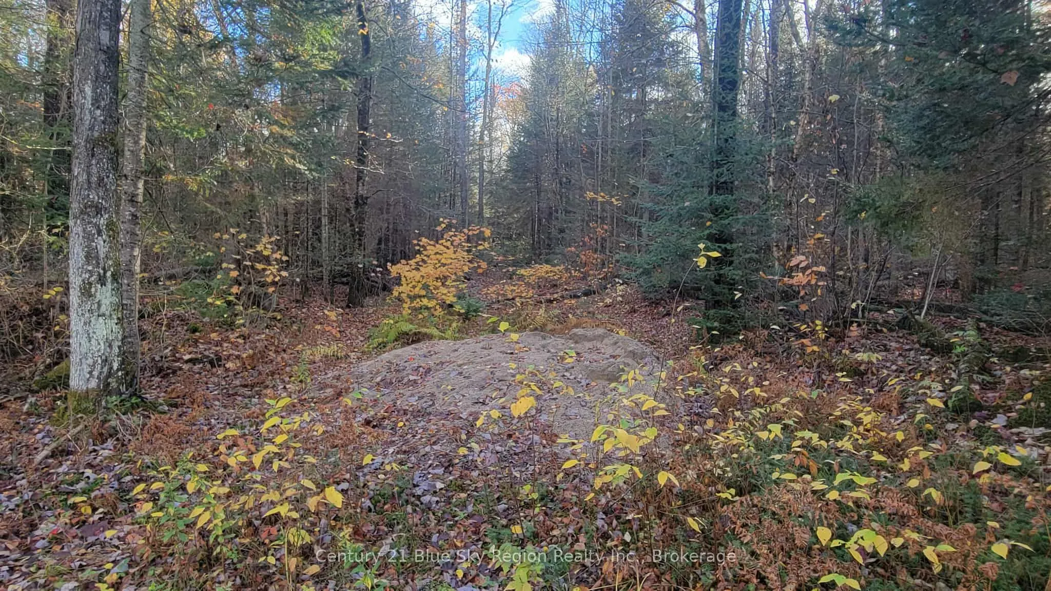 Pt Lt 2 Con 4 McFadden Line