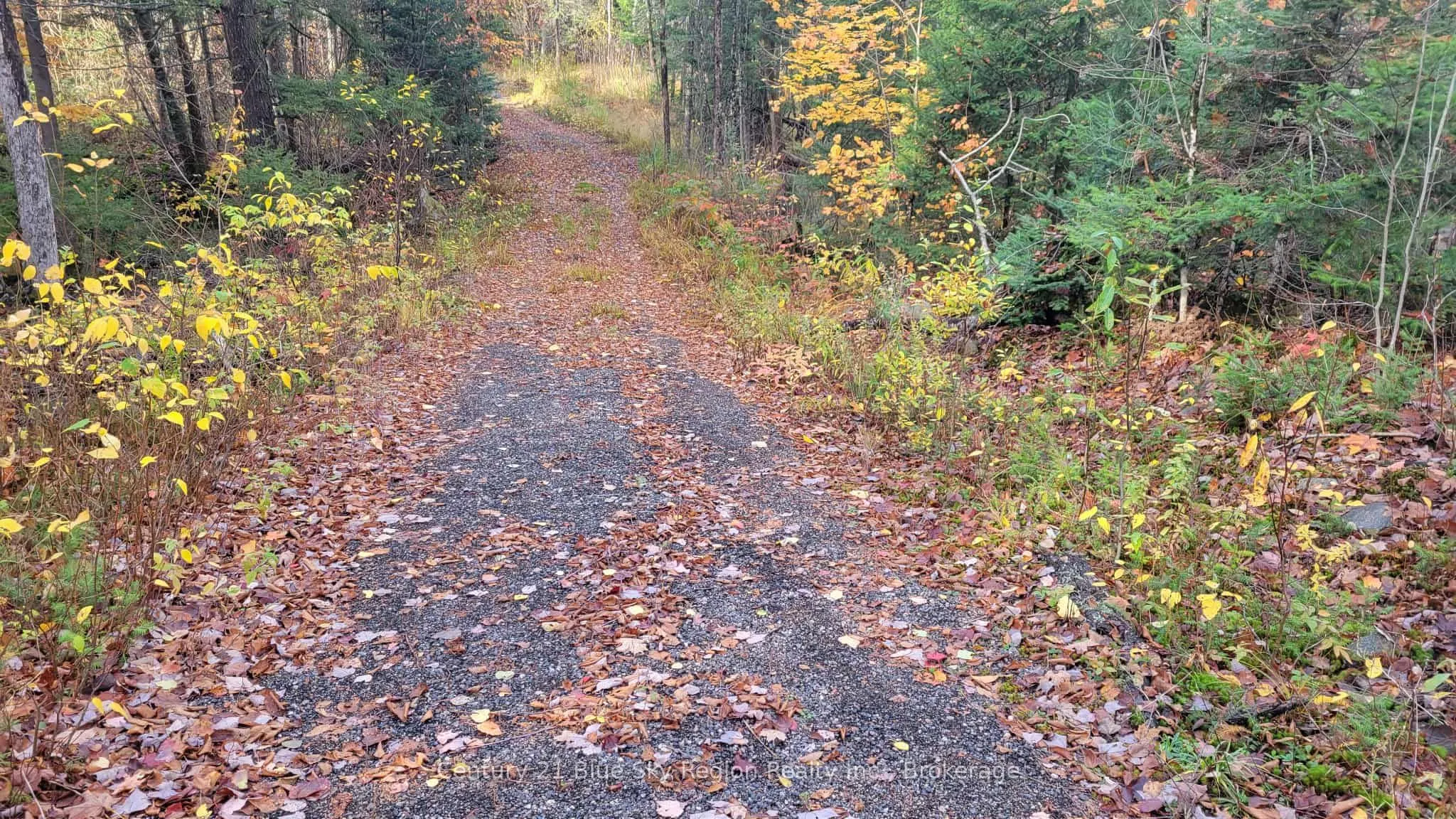 Pt Lt 2 Con 4 McFadden Line