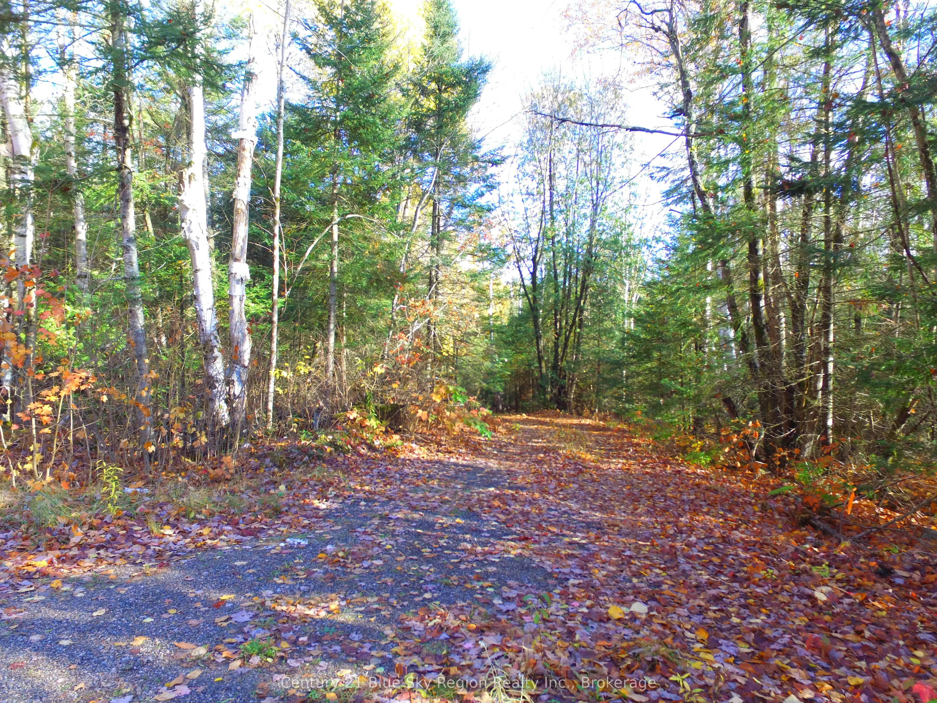 Pt Lt 2 Con 4 McFadden Line