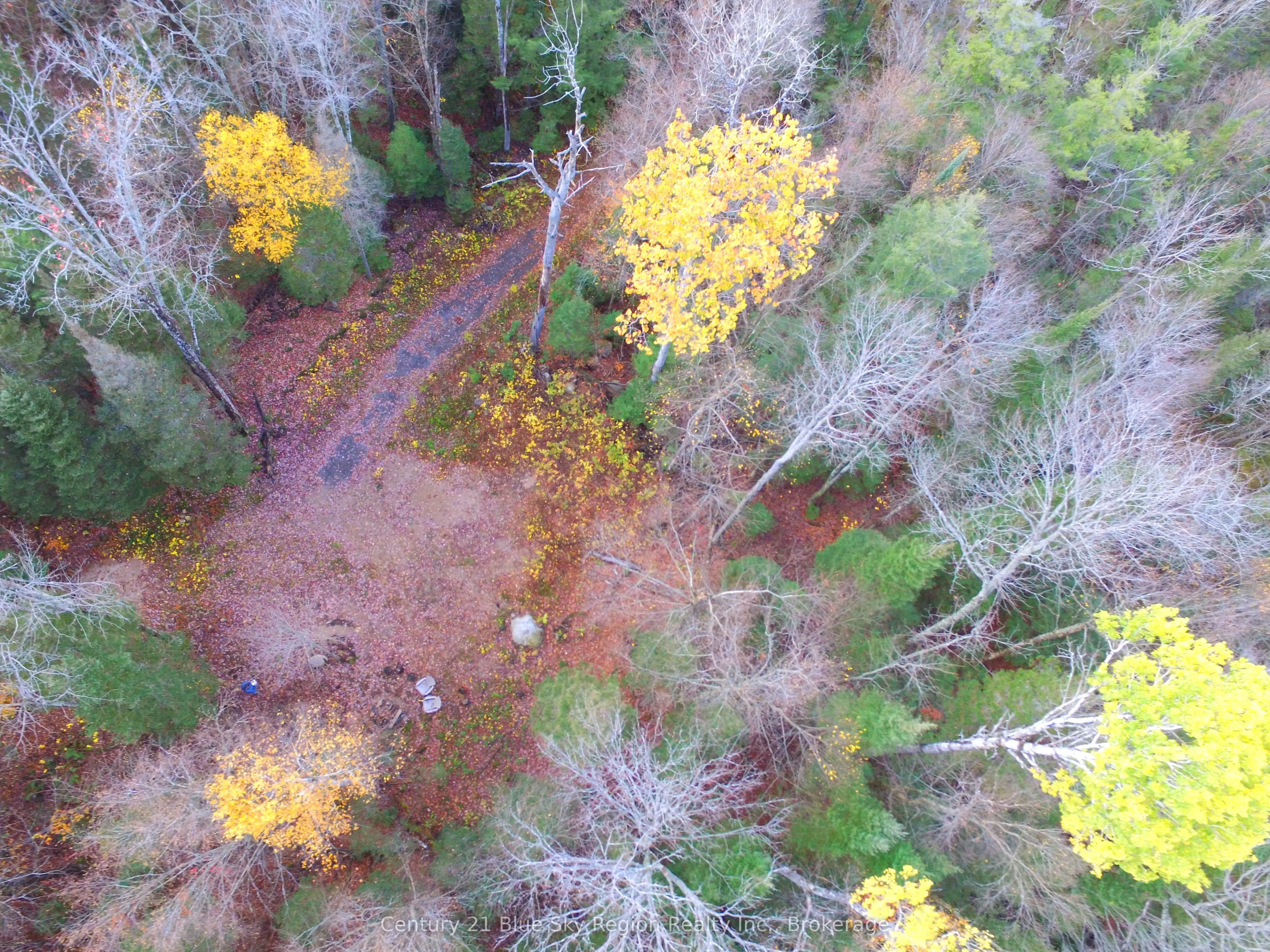 Pt Lt 2 Con 4 McFadden Line