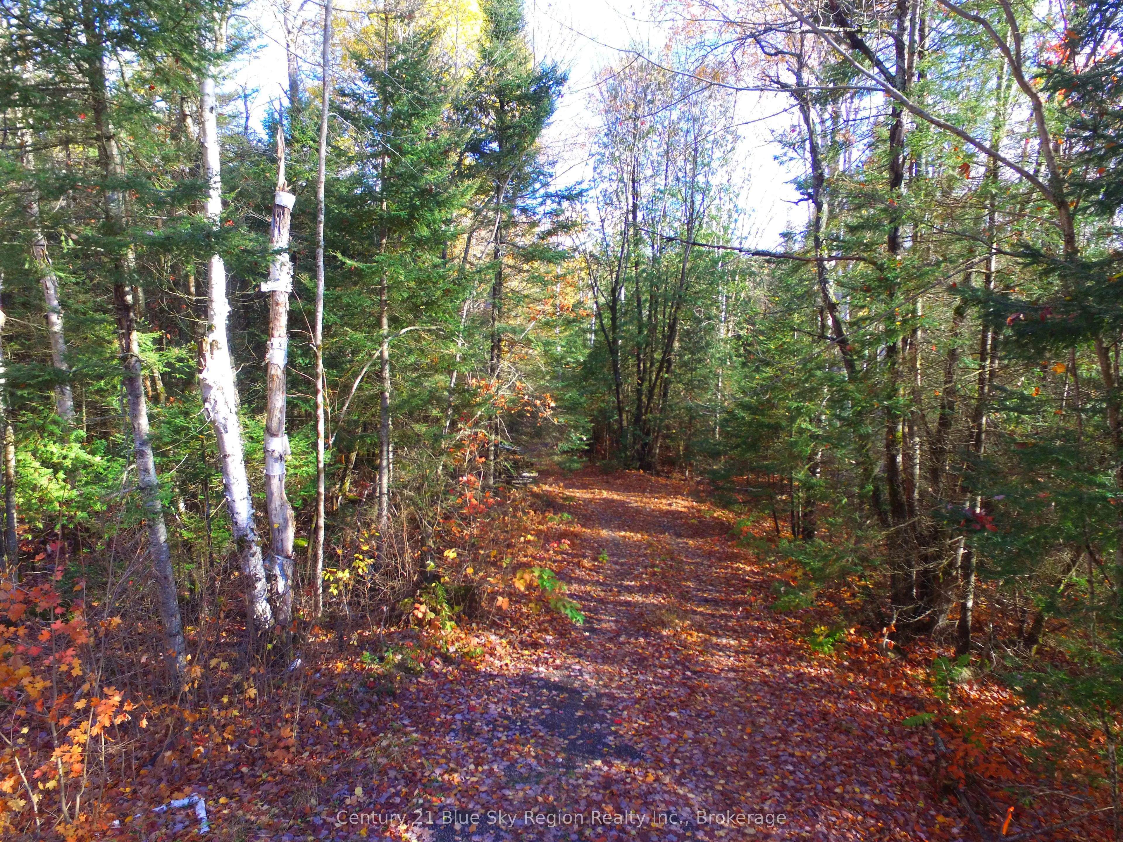 Pt Lt 2 Con 4 McFadden Line