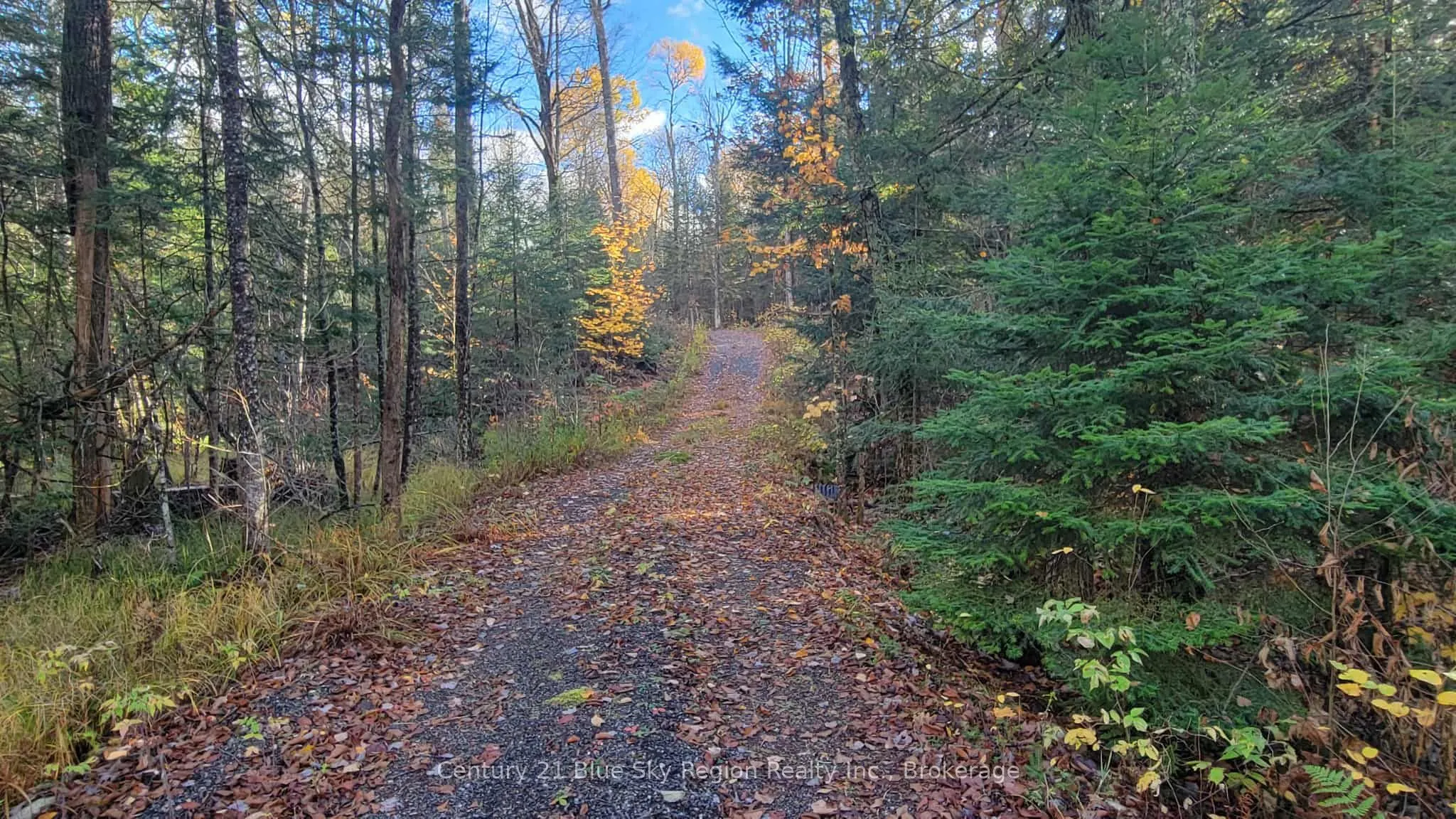 Pt Lt 2 Con 4 McFadden Line