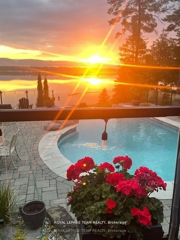 3886 Armitage Avenue