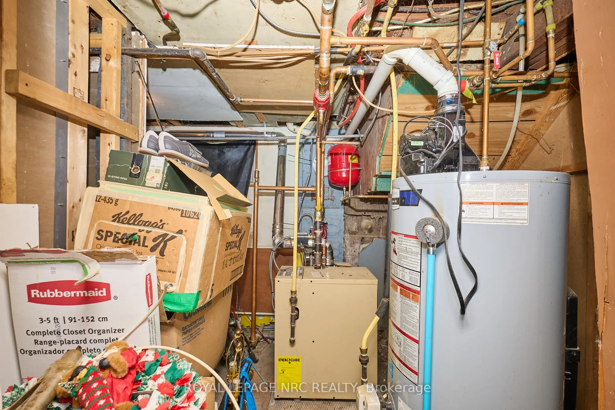 6173 PINE GROVE Avenue