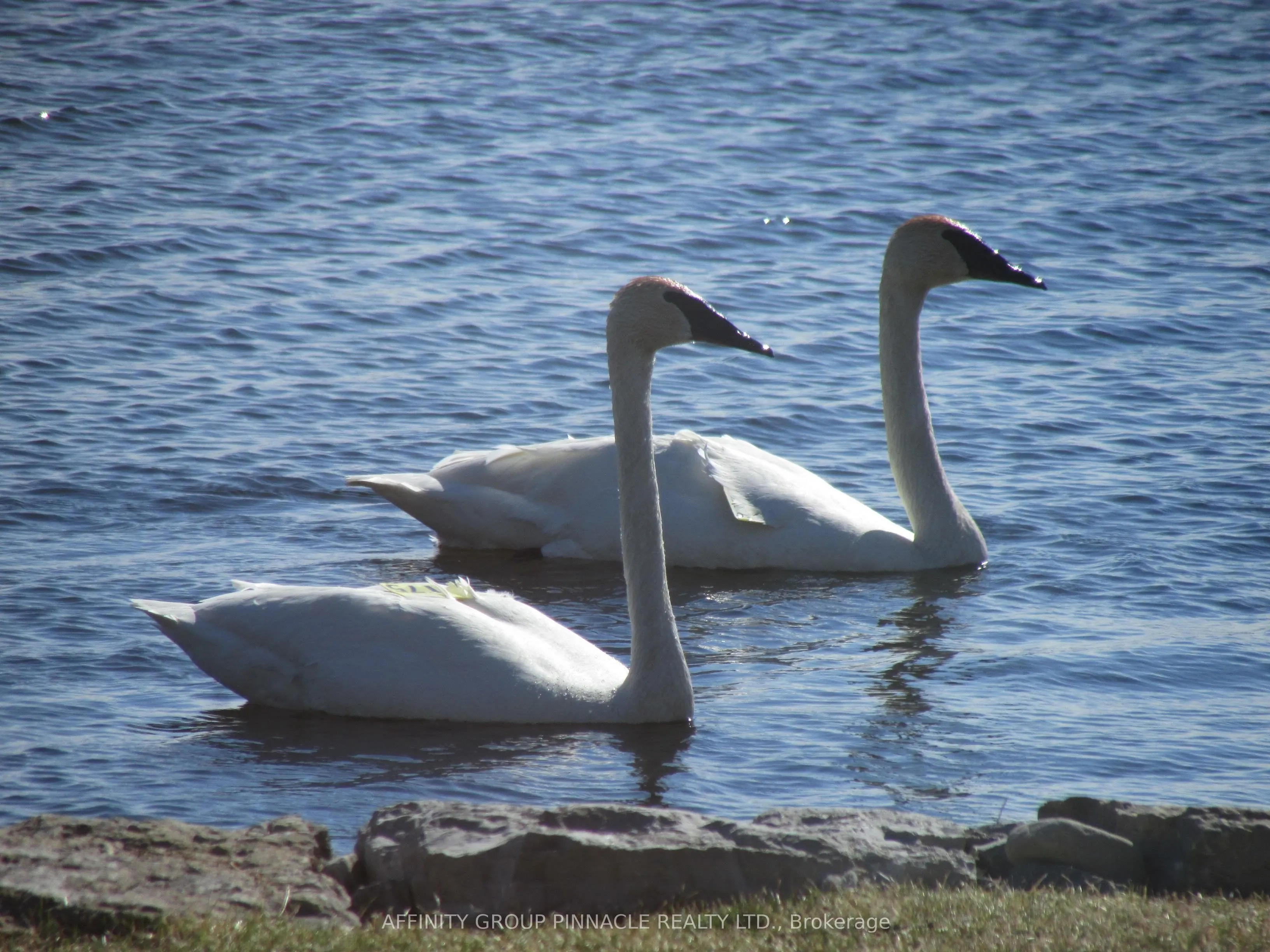 11 Lakeview Crescent