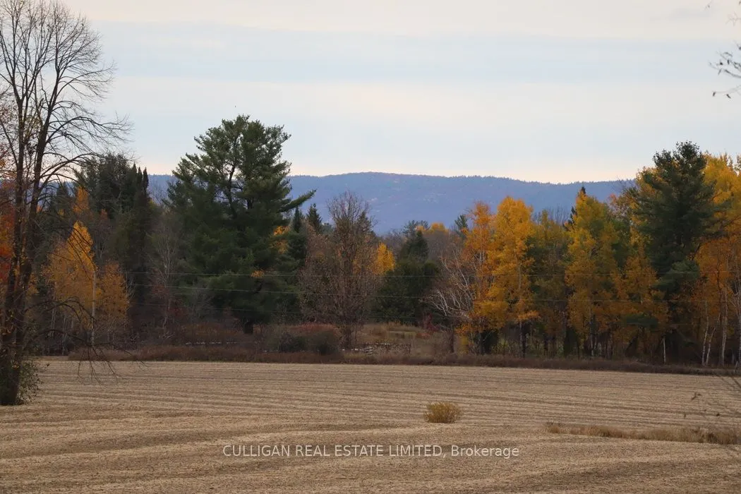 2315 Styles Side Road