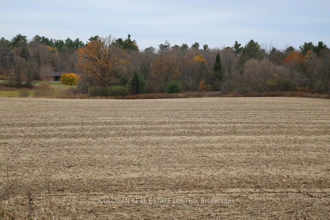 2315 Styles Side Road